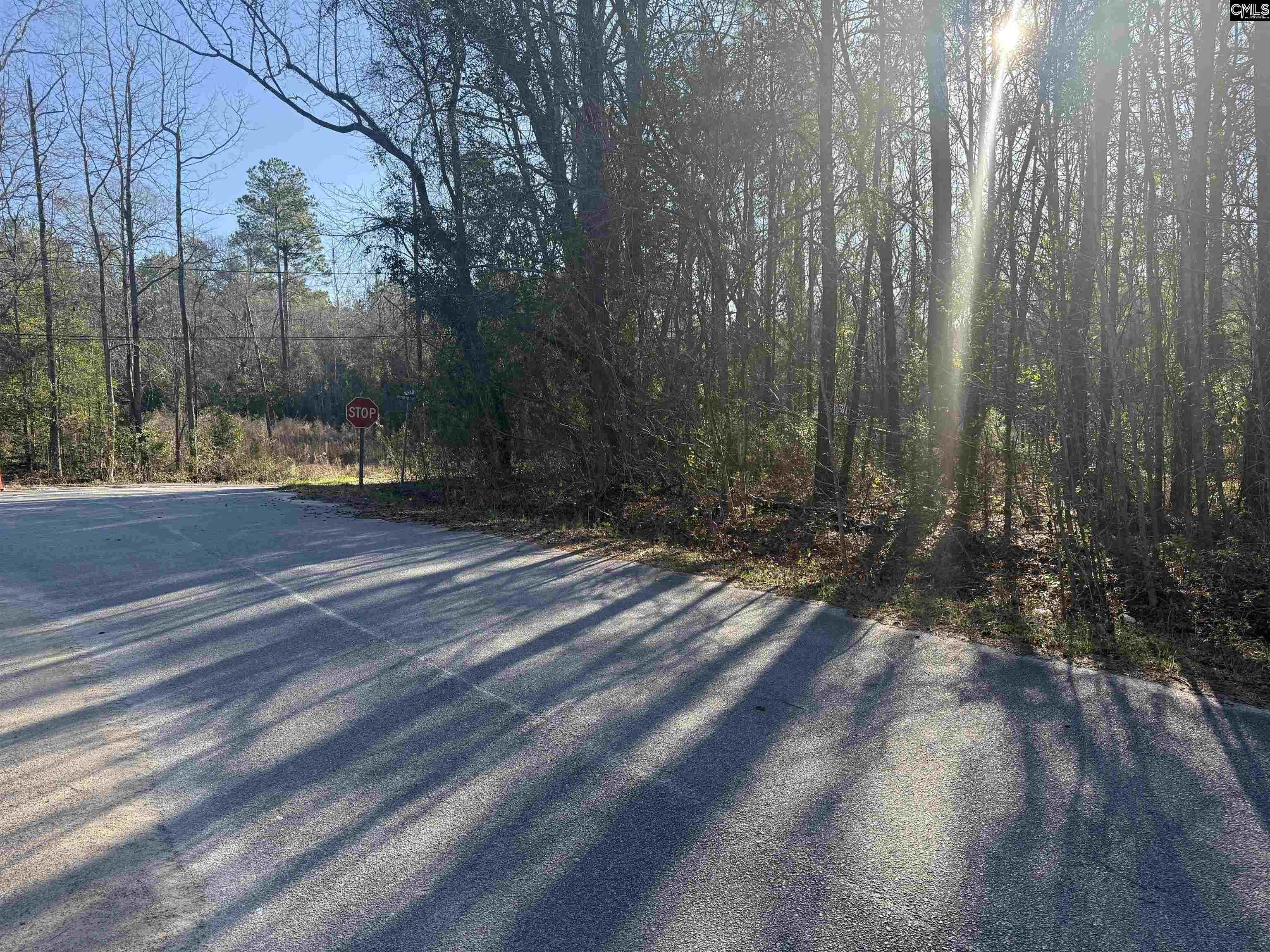 1070 Pinel Drive Columbia, SC 29203