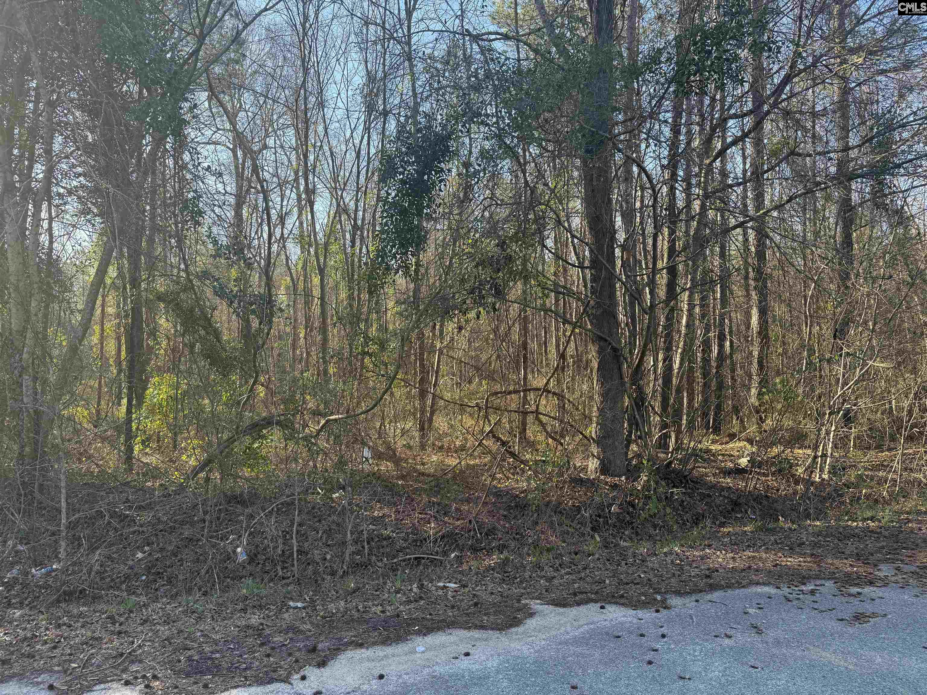 1070 Pinel Drive Columbia, SC 29203