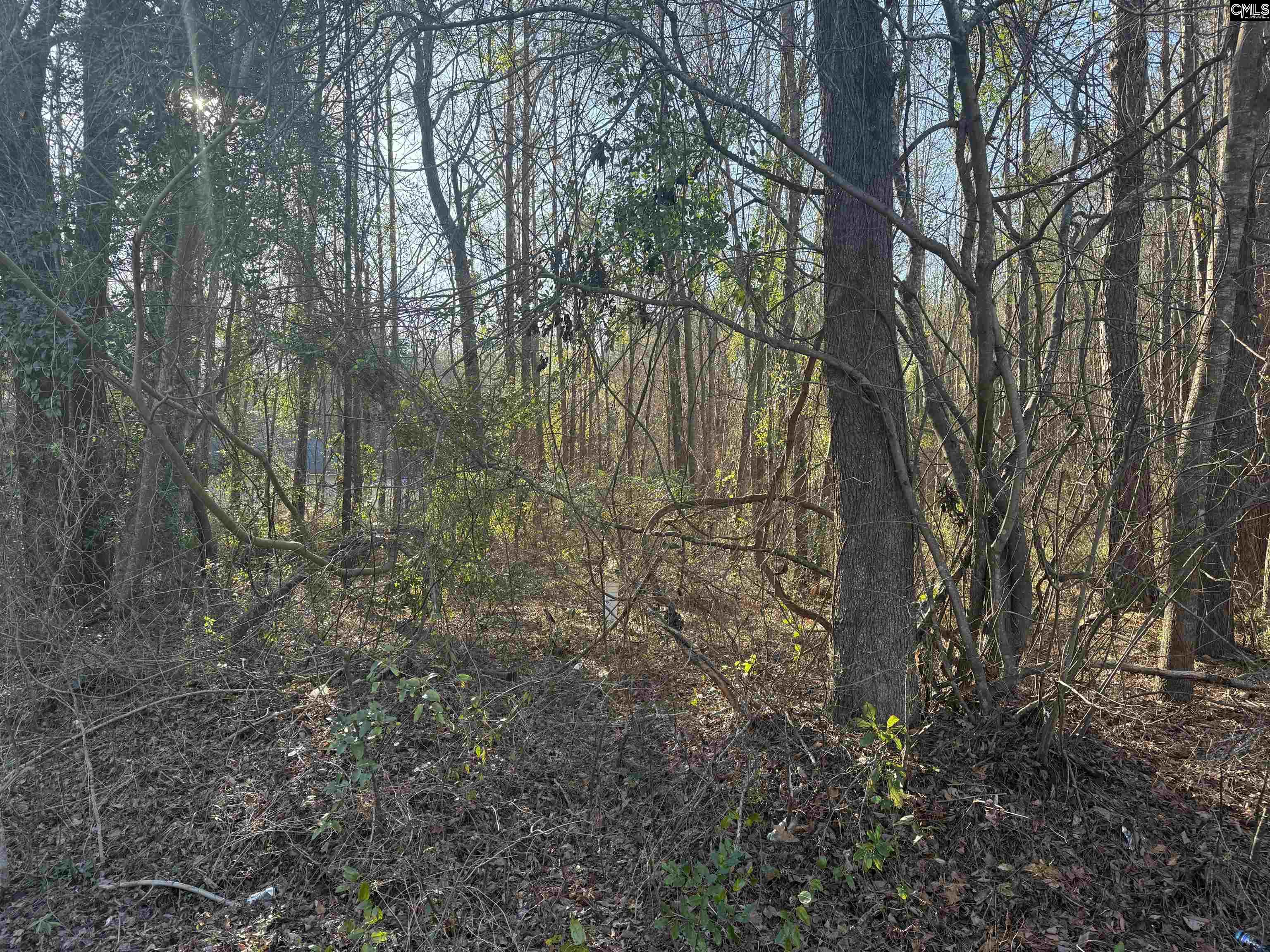 1070 Pinel Drive Columbia, SC 29203