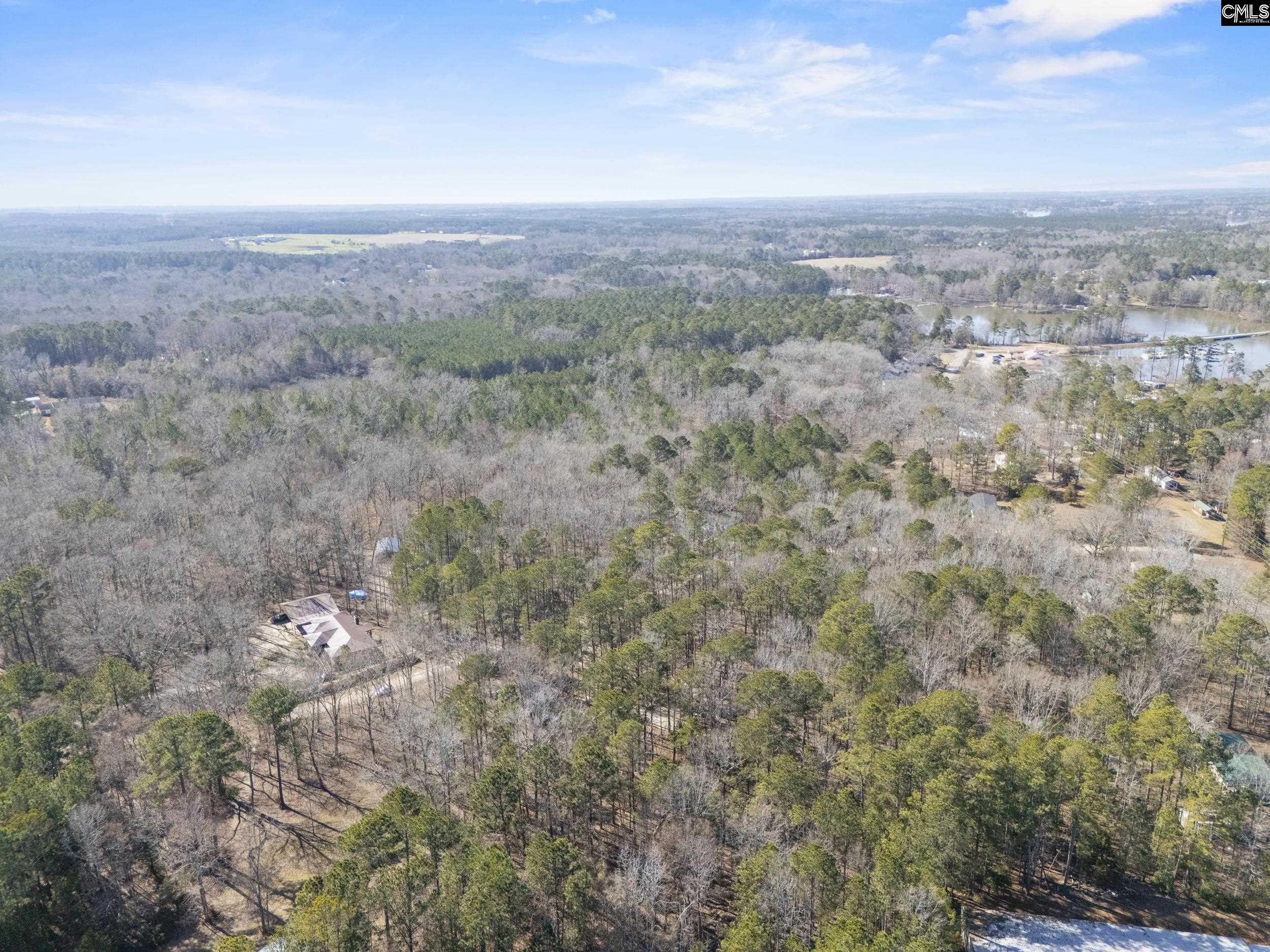 1053 Bass Drive, Leesville, South Carolina image 25