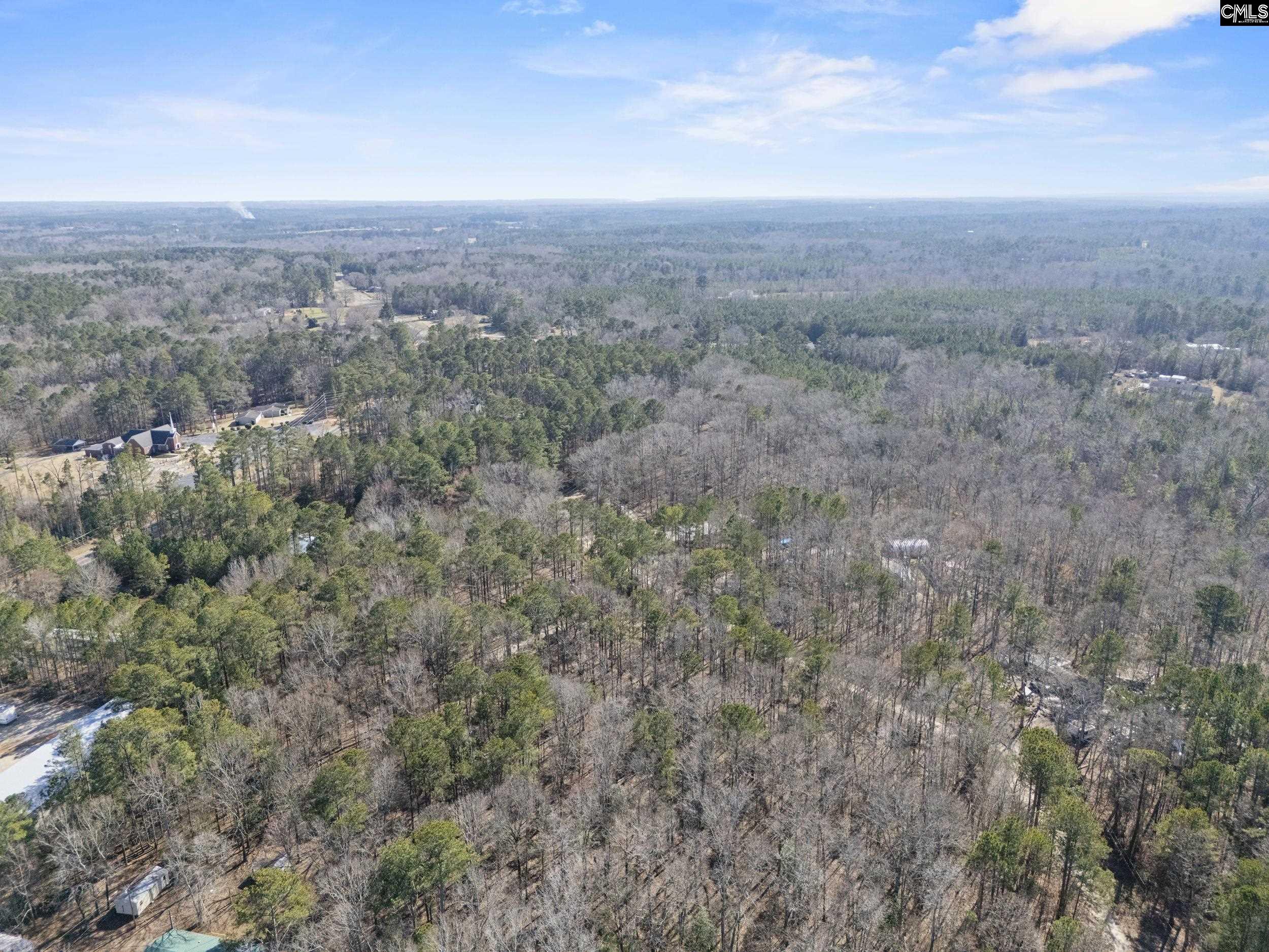 1053 Bass Drive, Leesville, South Carolina image 26