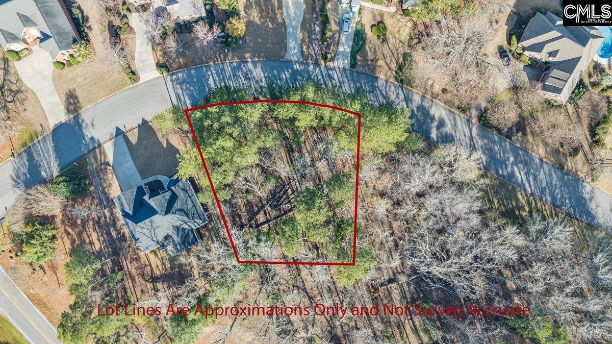 110 Lake Summit Drive, Chapin, South Carolina image 2
