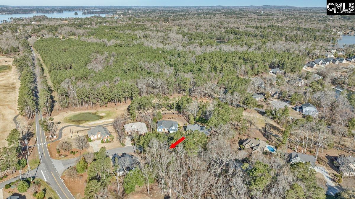 110 Lake Summit Drive, Chapin, South Carolina image 12