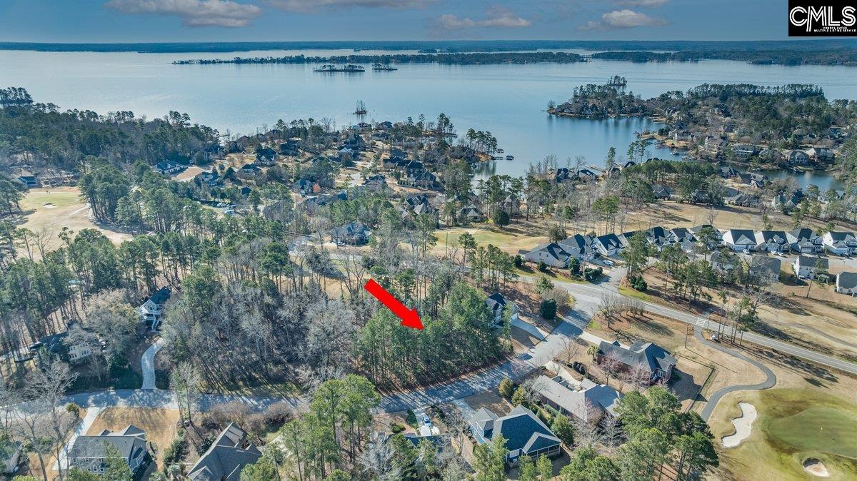 110 Lake Summit Drive, Chapin, South Carolina image 15