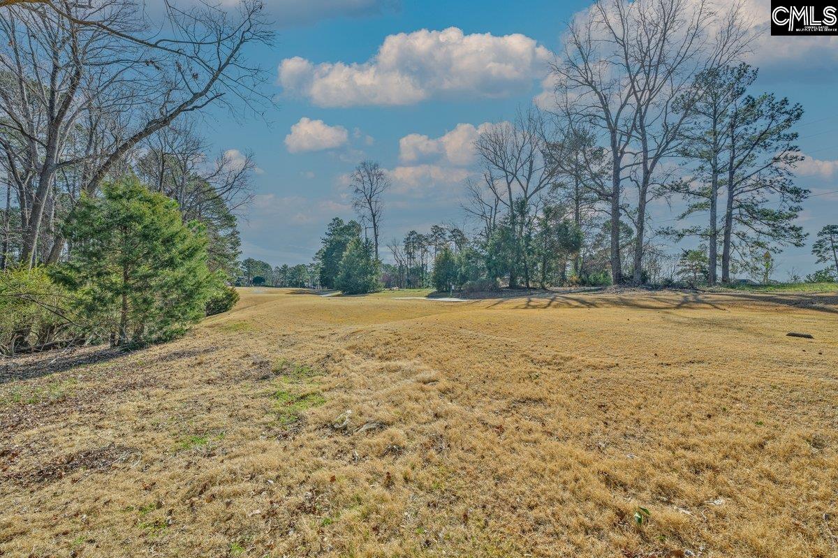 110 Lake Summit Drive, Chapin, South Carolina image 4