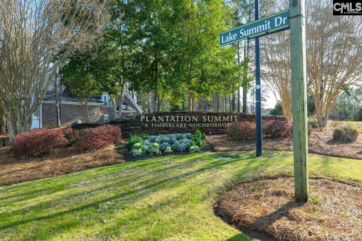110 Lake Summit Drive, Chapin, South Carolina image 6