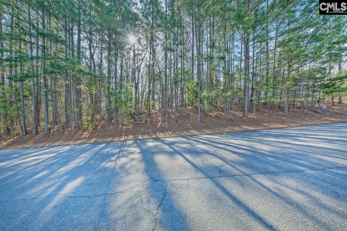 110 Lake Summit Drive, Chapin, South Carolina image 7