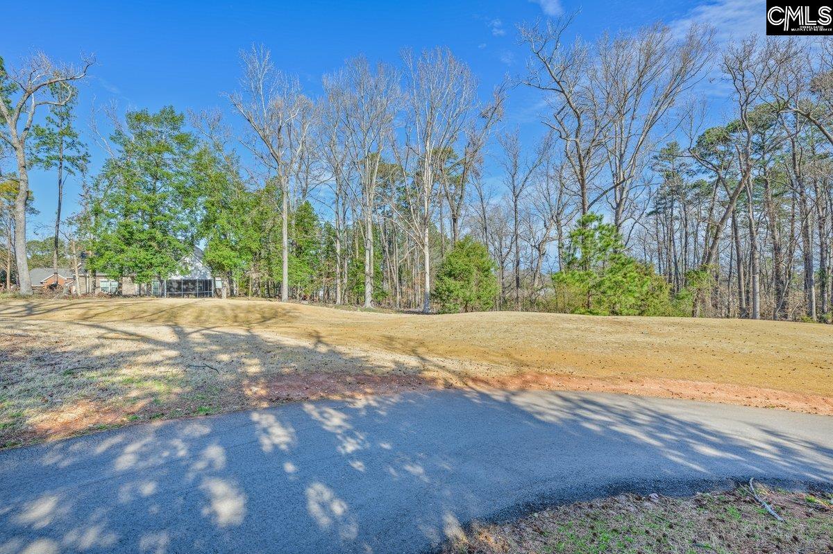 110 Lake Summit Drive, Chapin, South Carolina image 8