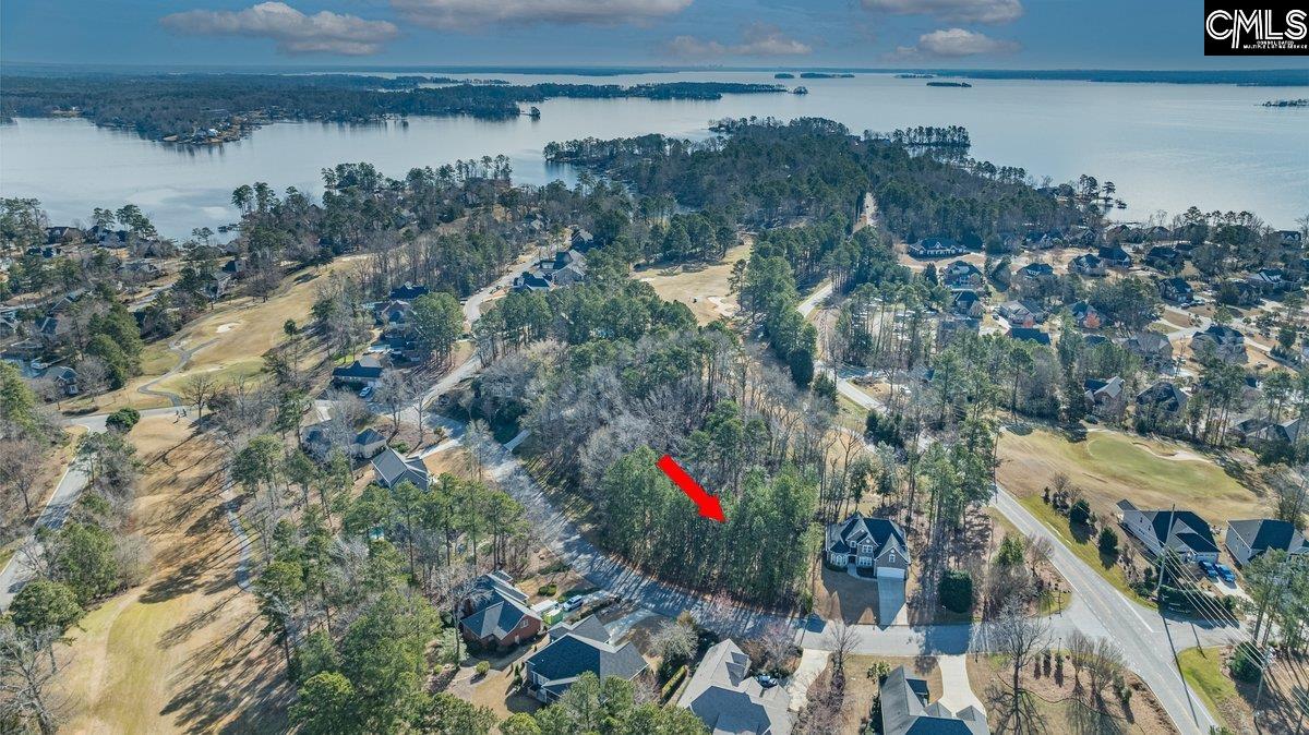 110 Lake Summit Drive, Chapin, South Carolina image 10