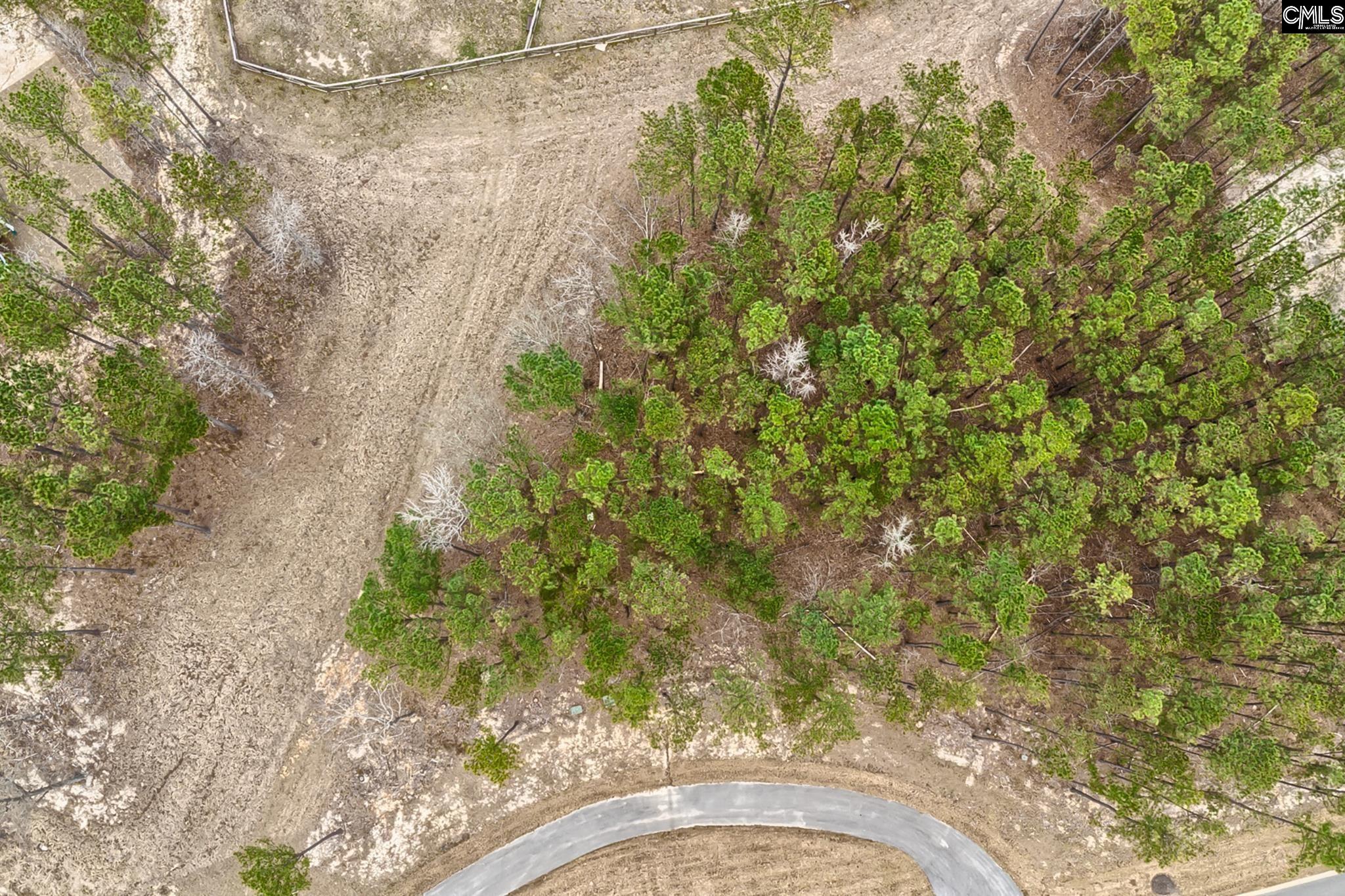 349 Stewart Landing, Prosperity, South Carolina image 13