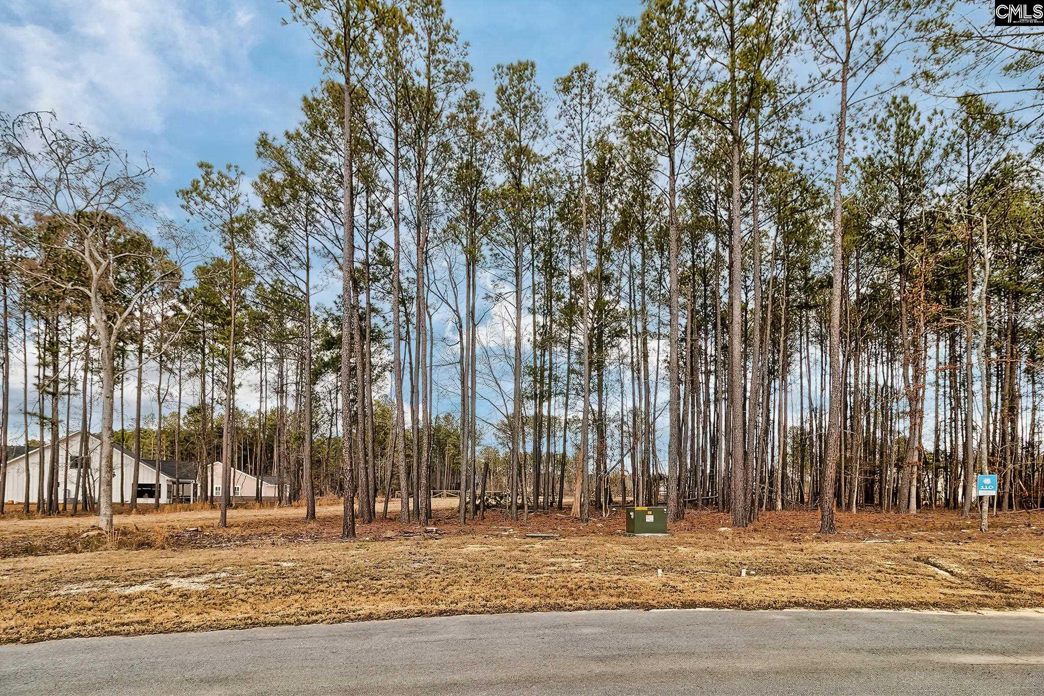 349 Stewart Landing, Prosperity, South Carolina image 15