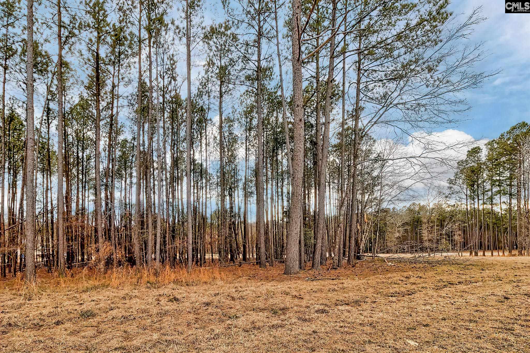 349 Stewart Landing, Prosperity, South Carolina image 16