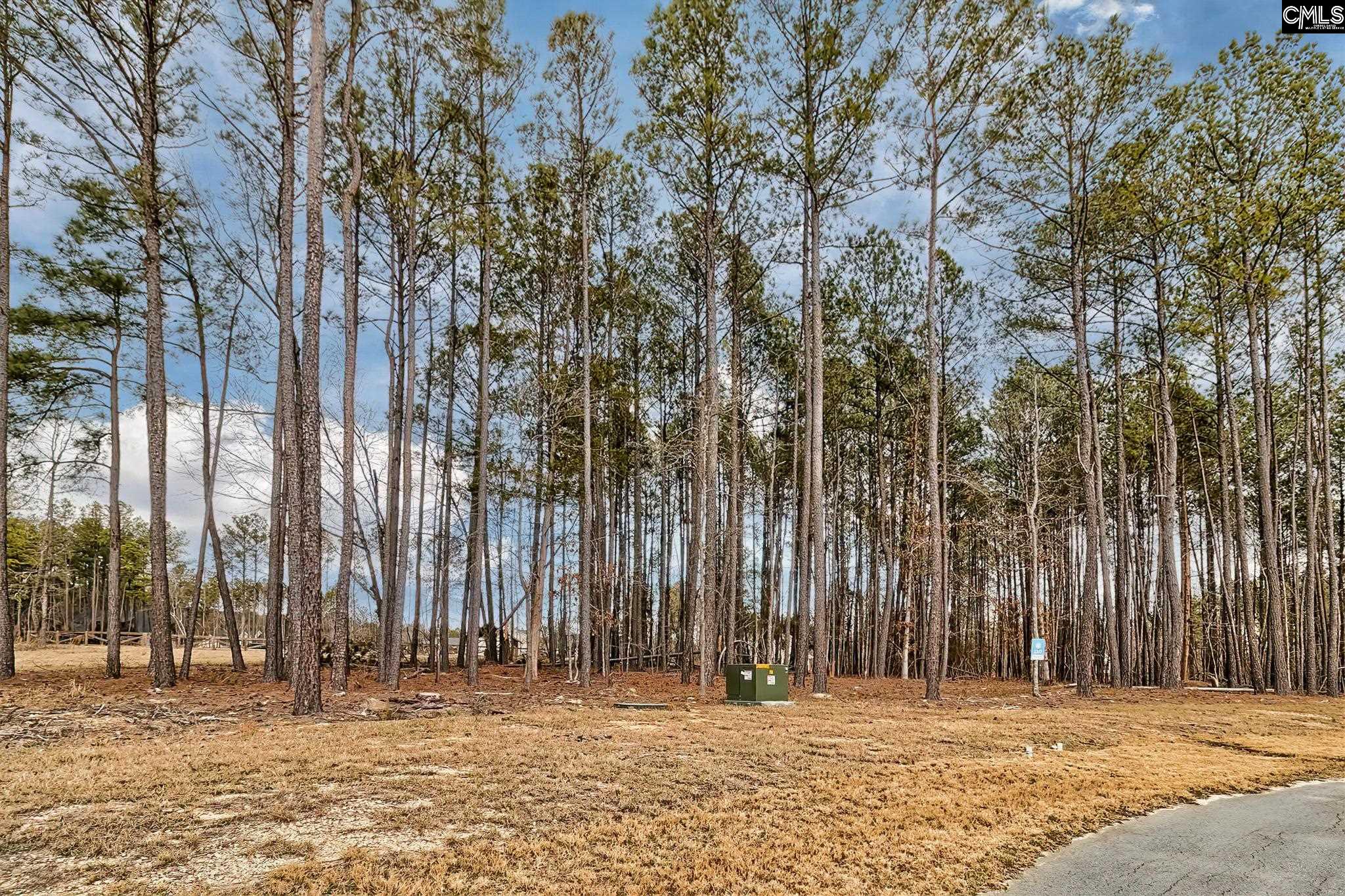 349 Stewart Landing, Prosperity, South Carolina image 19