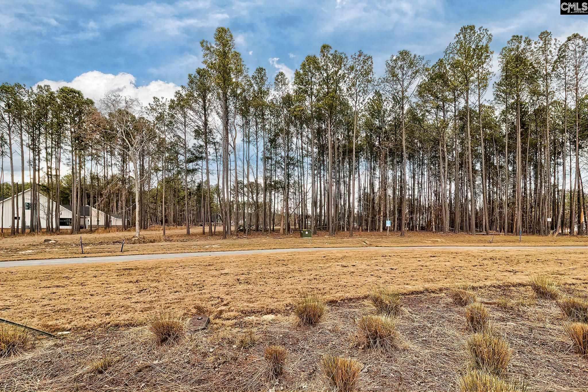 349 Stewart Landing, Prosperity, South Carolina image 3