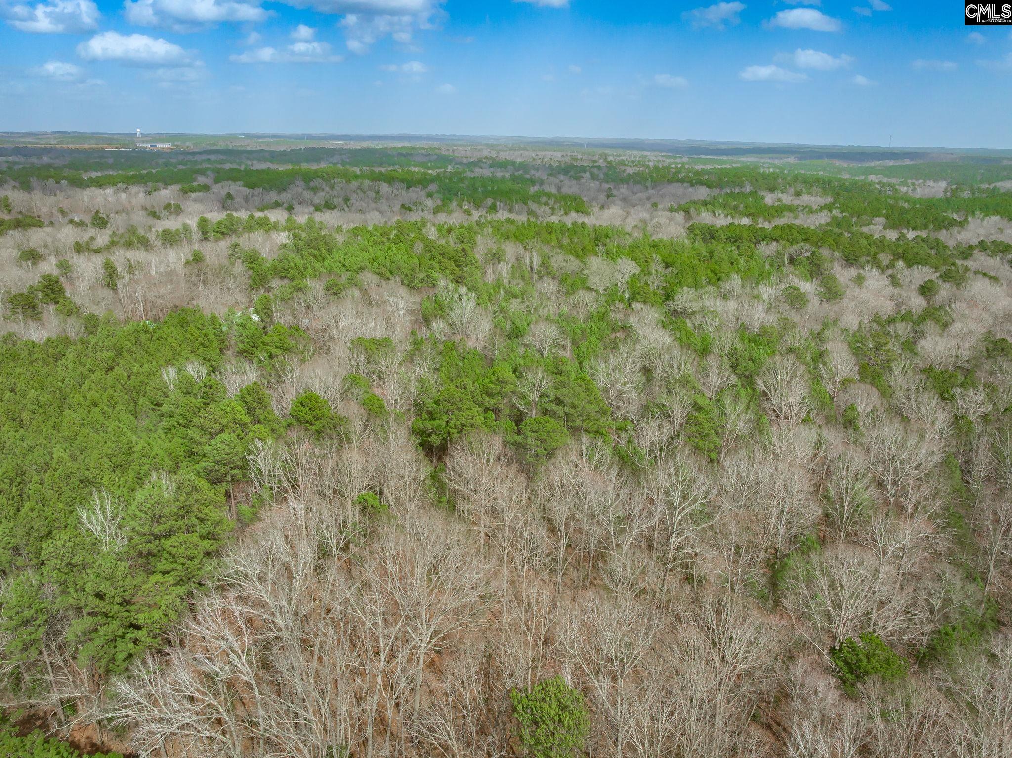 Syrup Mill Road, Ridgeway, South Carolina image 11