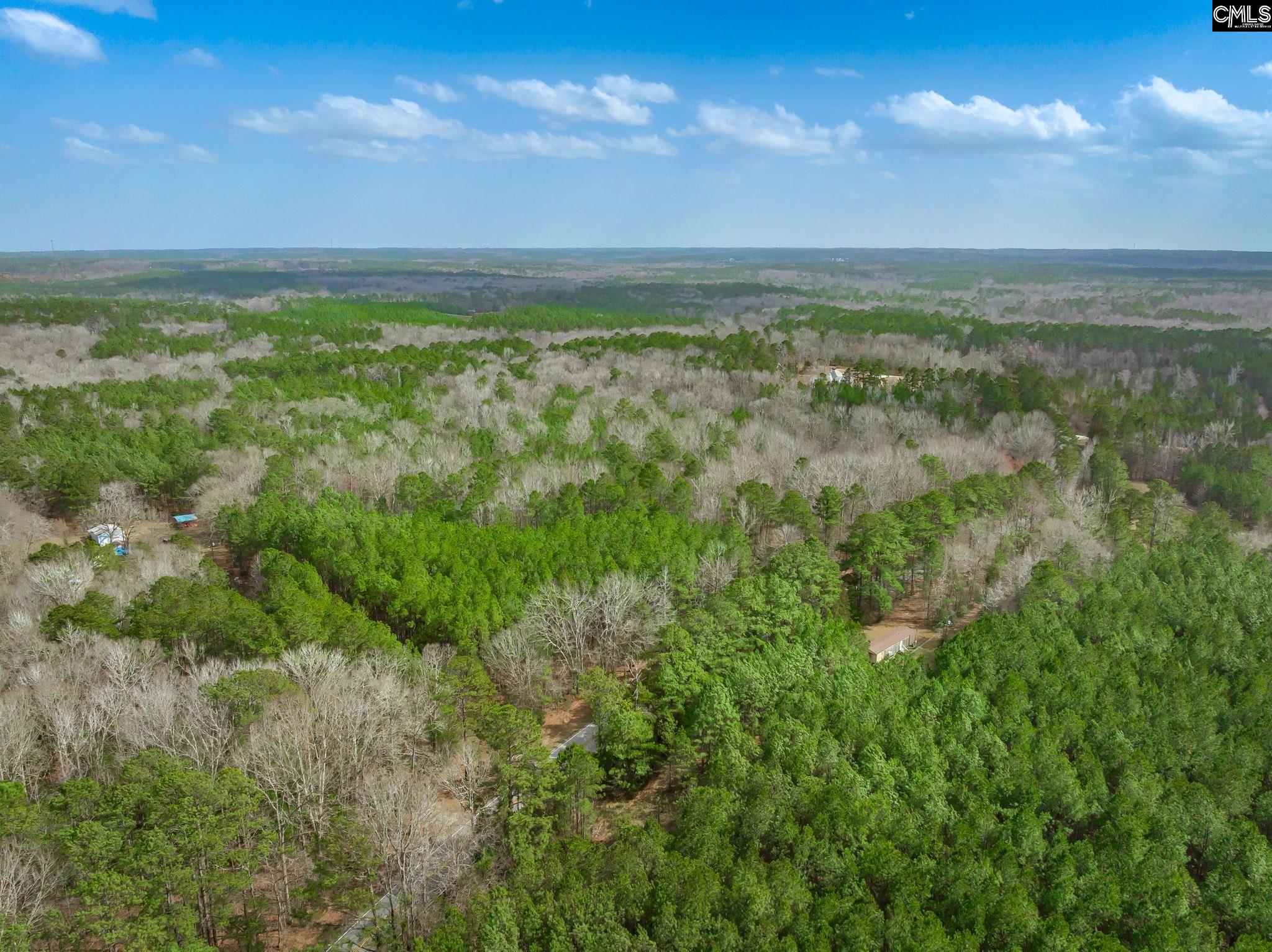 Syrup Mill Road, Ridgeway, South Carolina image 4