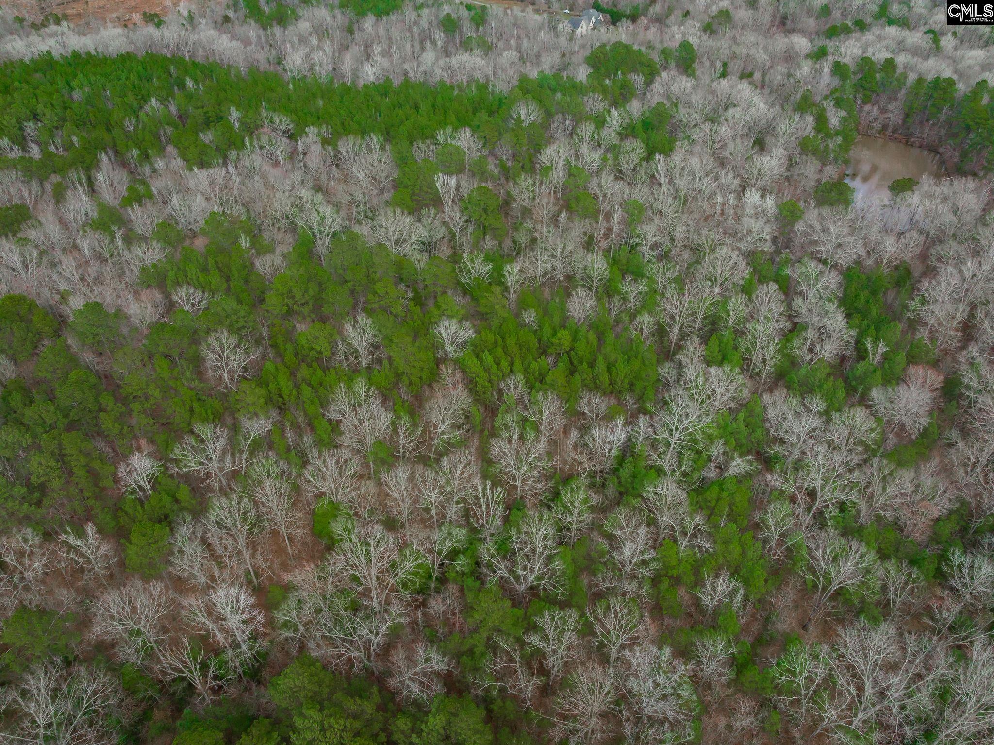 Syrup Mill Road, Ridgeway, South Carolina image 6