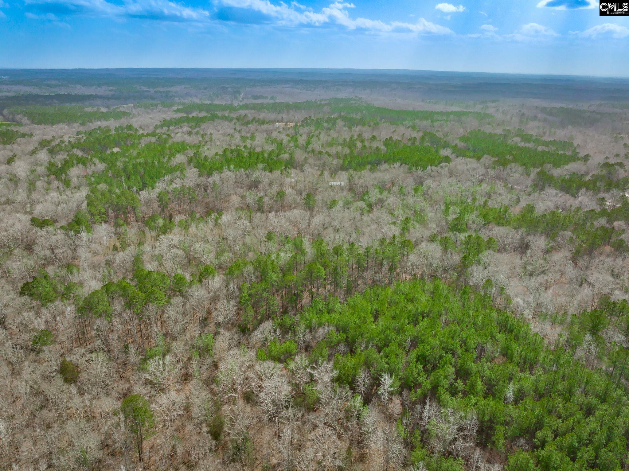 Syrup Mill Road, Ridgeway, South Carolina image 7