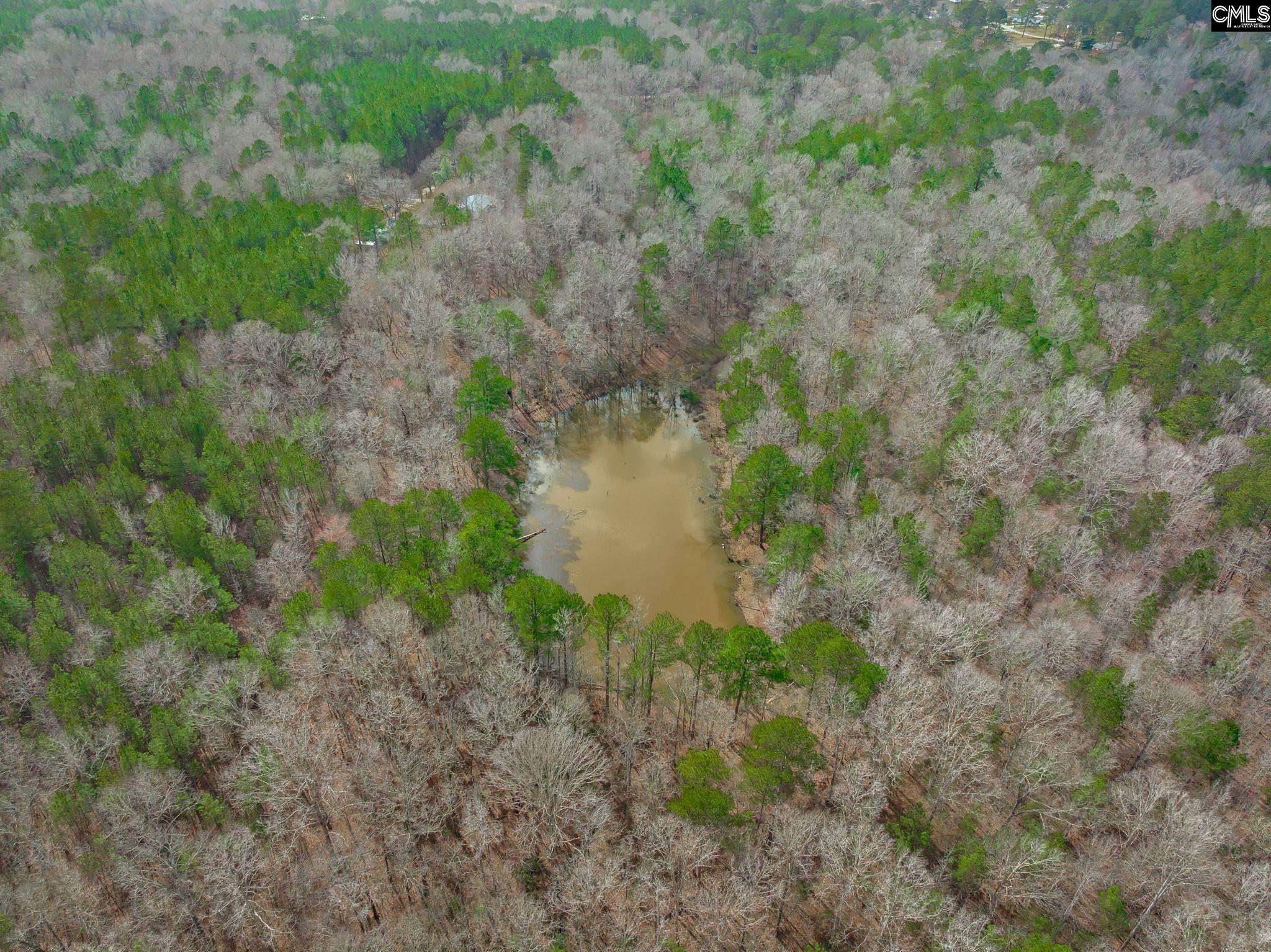 Syrup Mill Road, Ridgeway, South Carolina image 8
