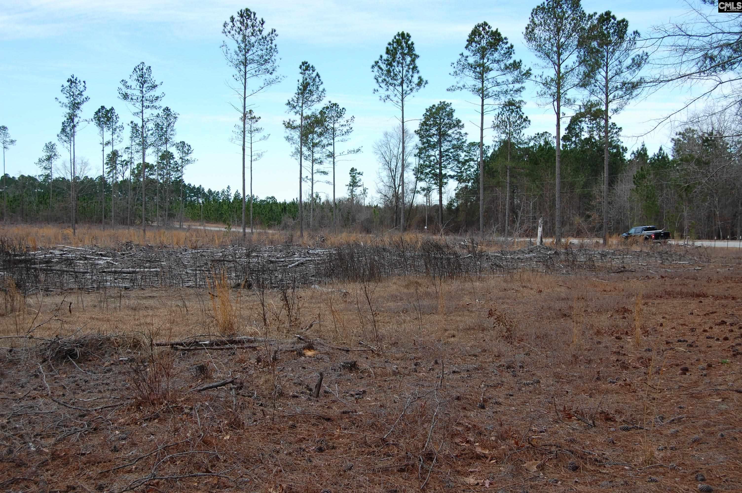 1035 Yarborough Road, Cassatt, South Carolina image 11