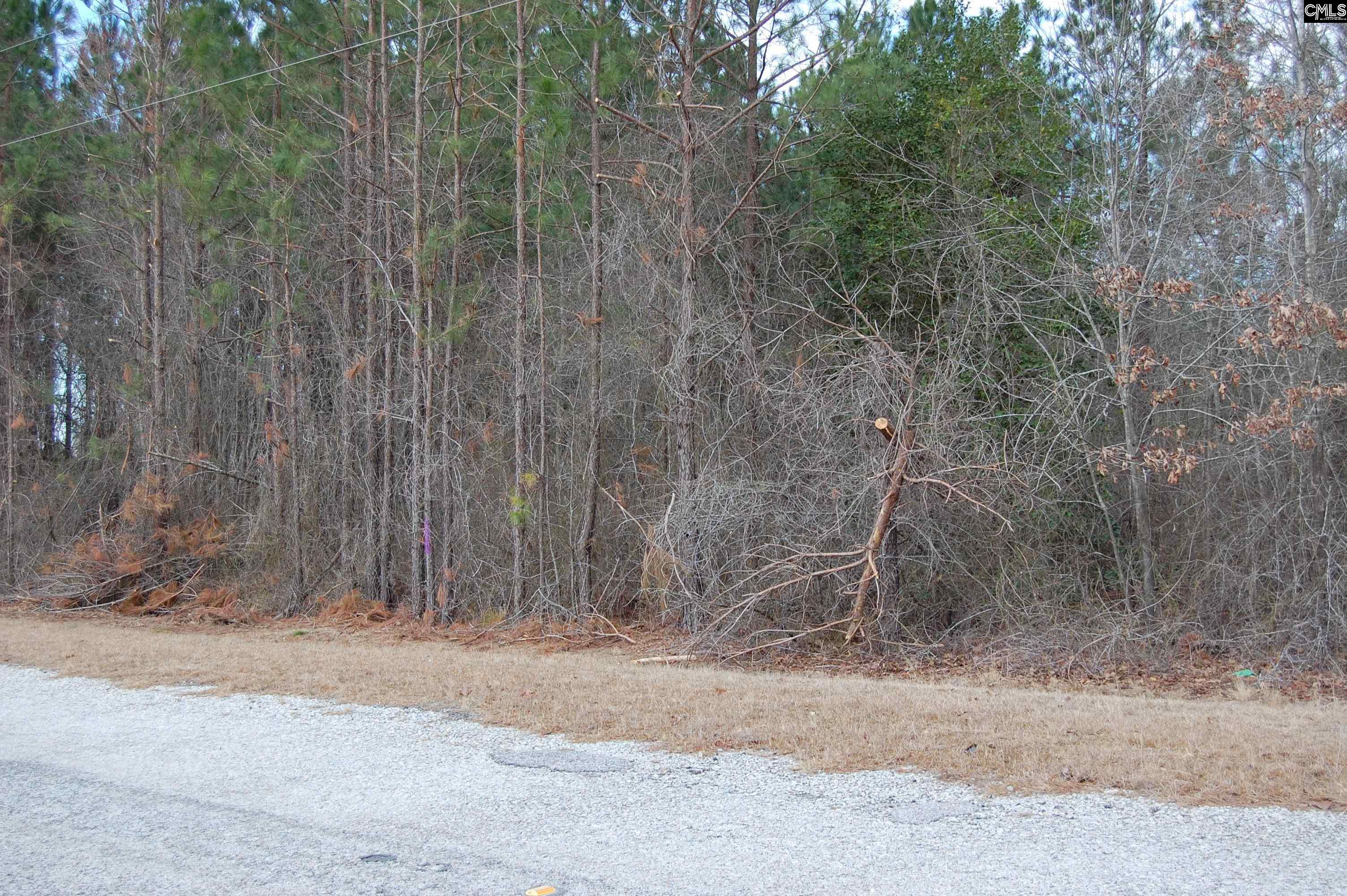 1035 Yarborough Road, Cassatt, South Carolina image 12