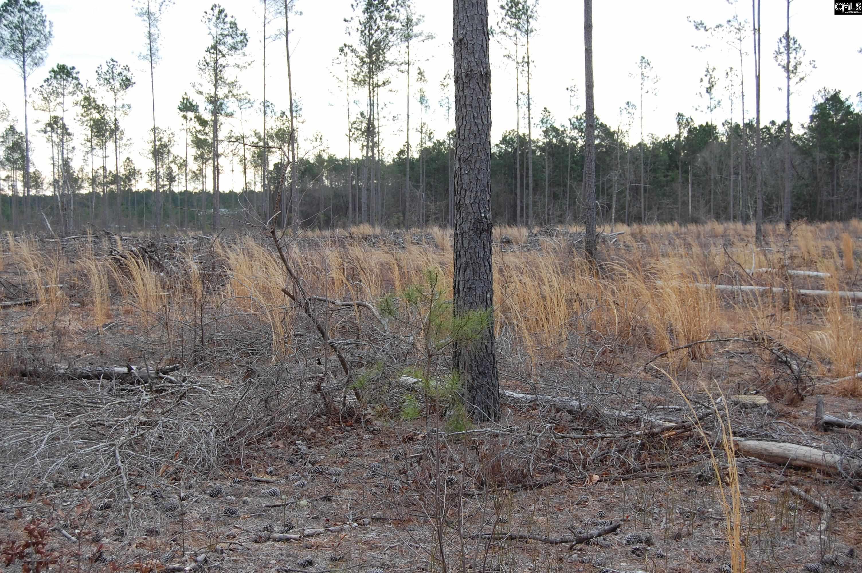 1035 Yarborough Road, Cassatt, South Carolina image 3