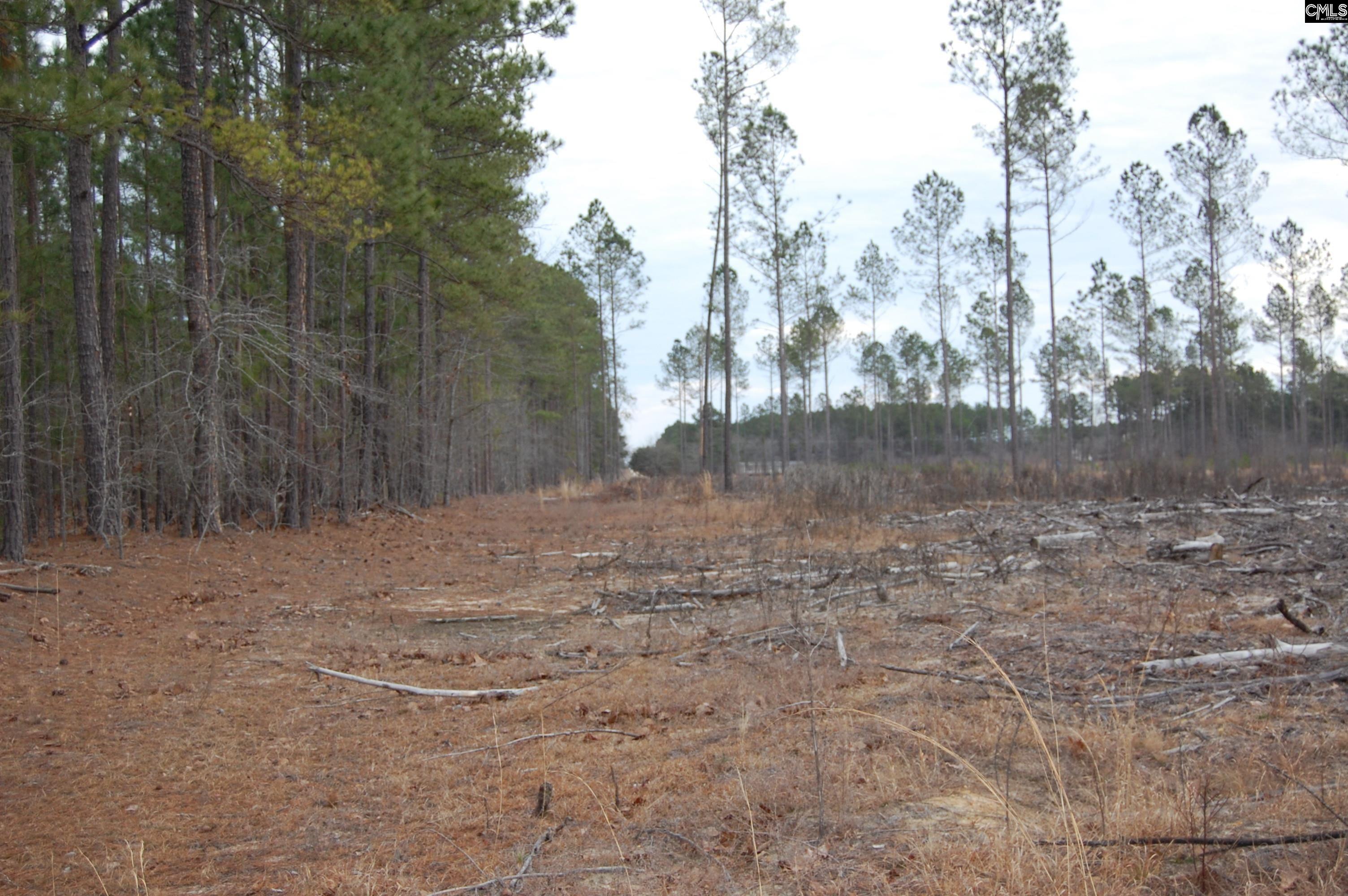 1035 Yarborough Road, Cassatt, South Carolina image 6