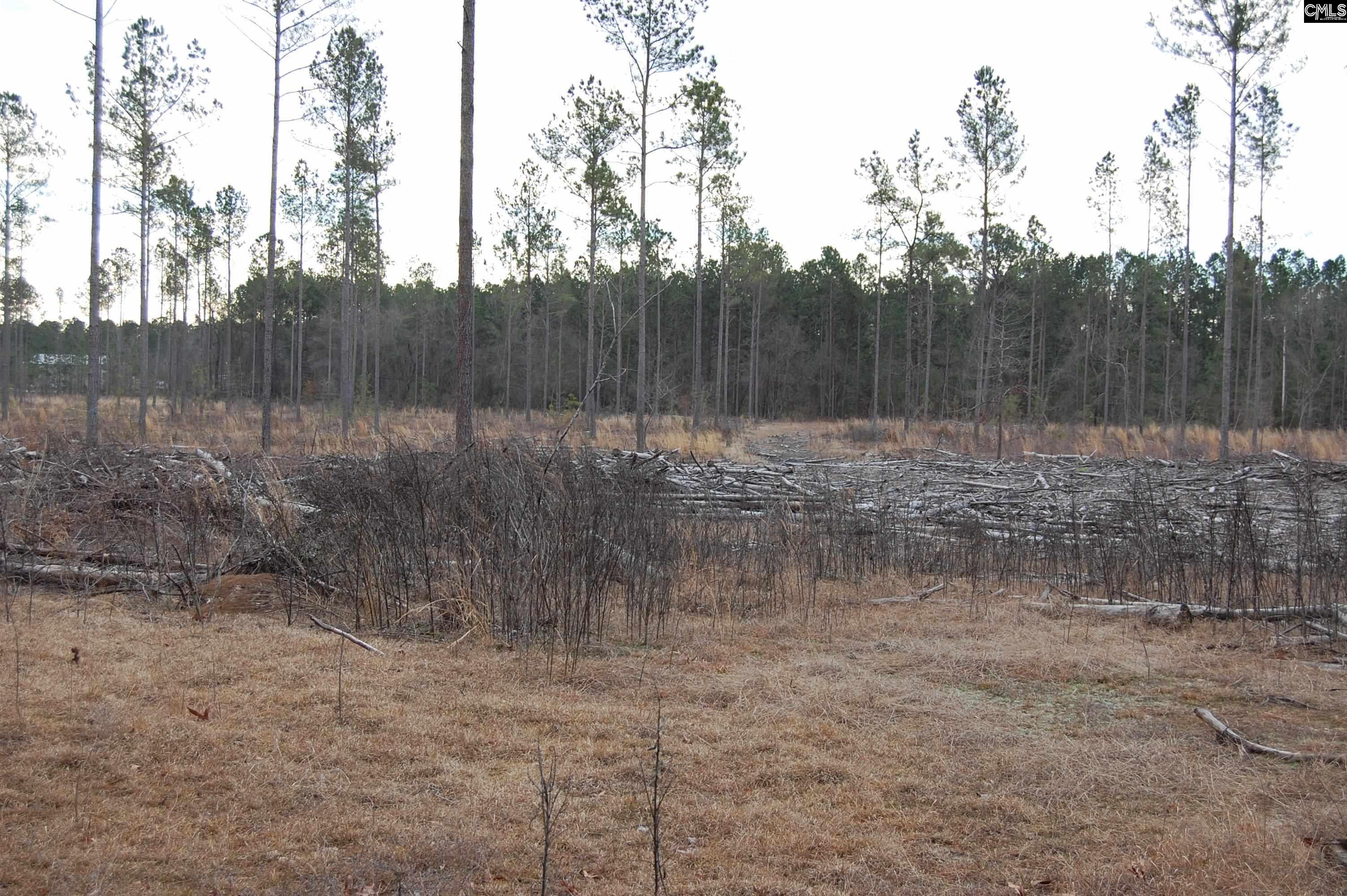 1035 Yarborough Road, Cassatt, South Carolina image 7