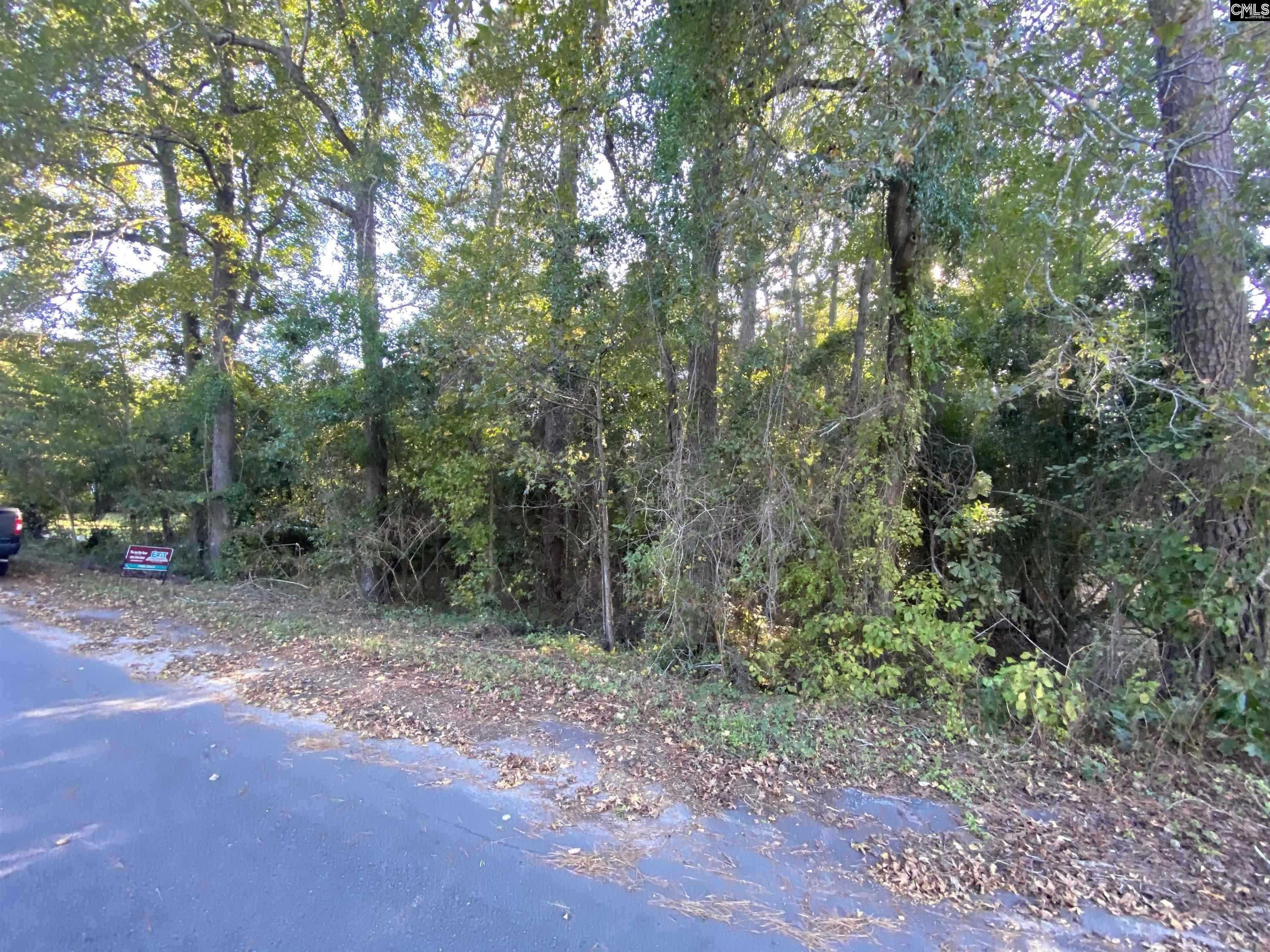 3265 Hunter Drive, Orangeburg, South Carolina image 3