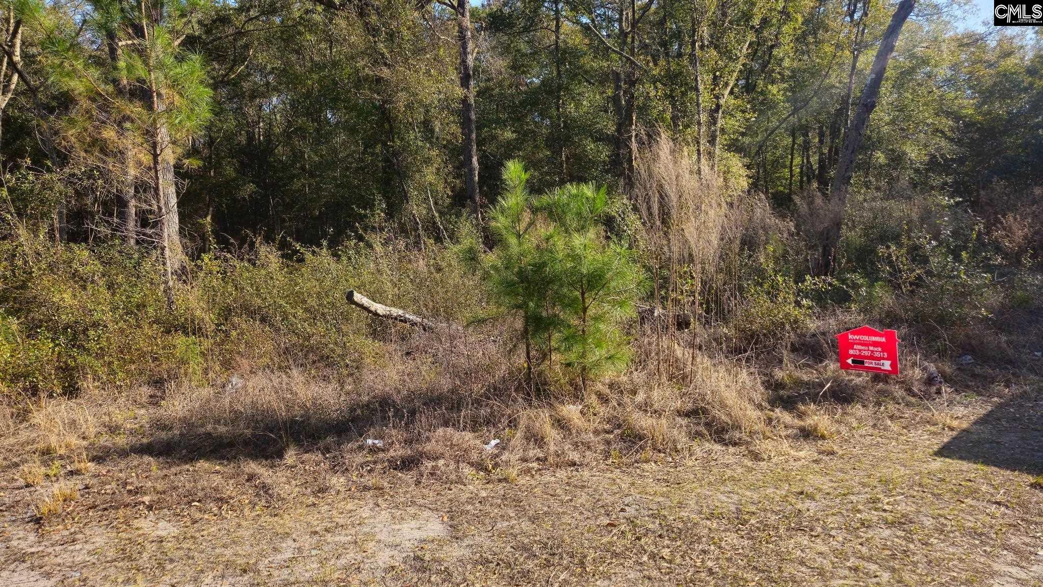 37 Levant Byas Road, Saint Helena Island, South Carolina image 3