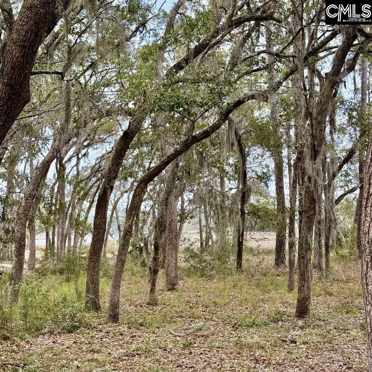 37 Levant Byas Road, Saint Helena Island, South Carolina image 5