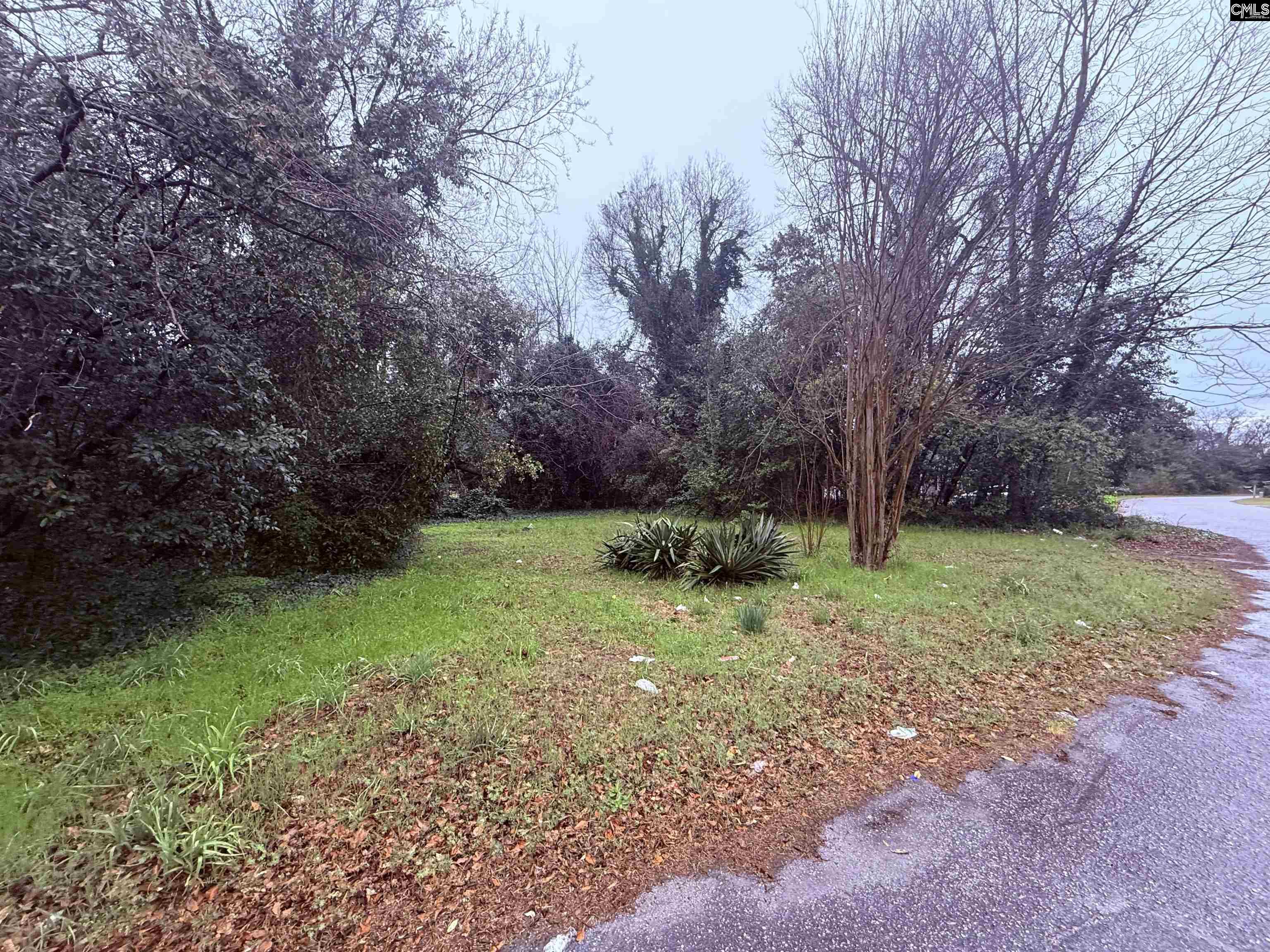 1227 Tolli Street Columbia, SC 29201
