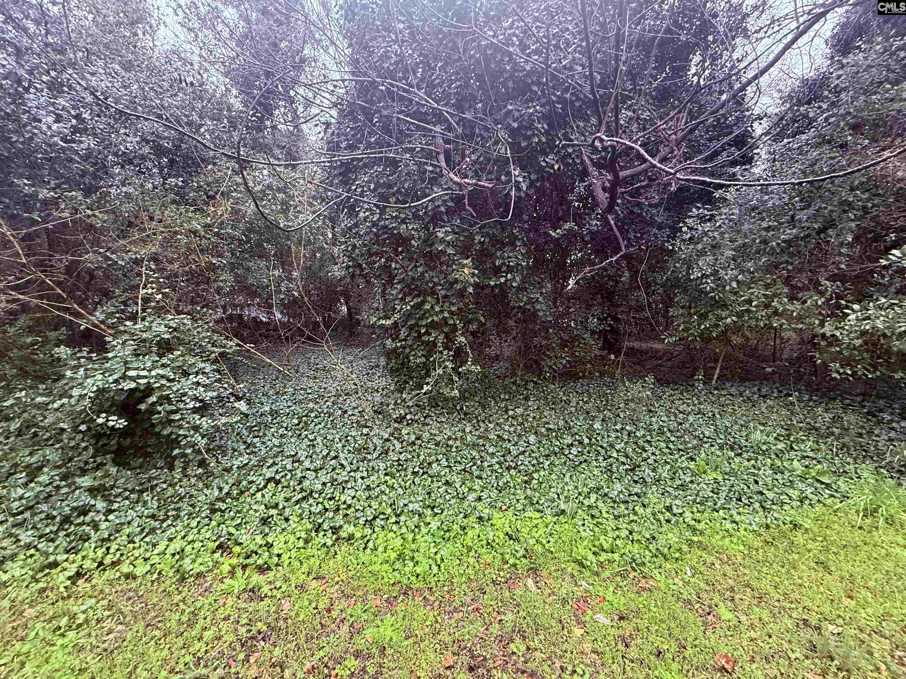 1227 Tolli Street Columbia, SC 29201