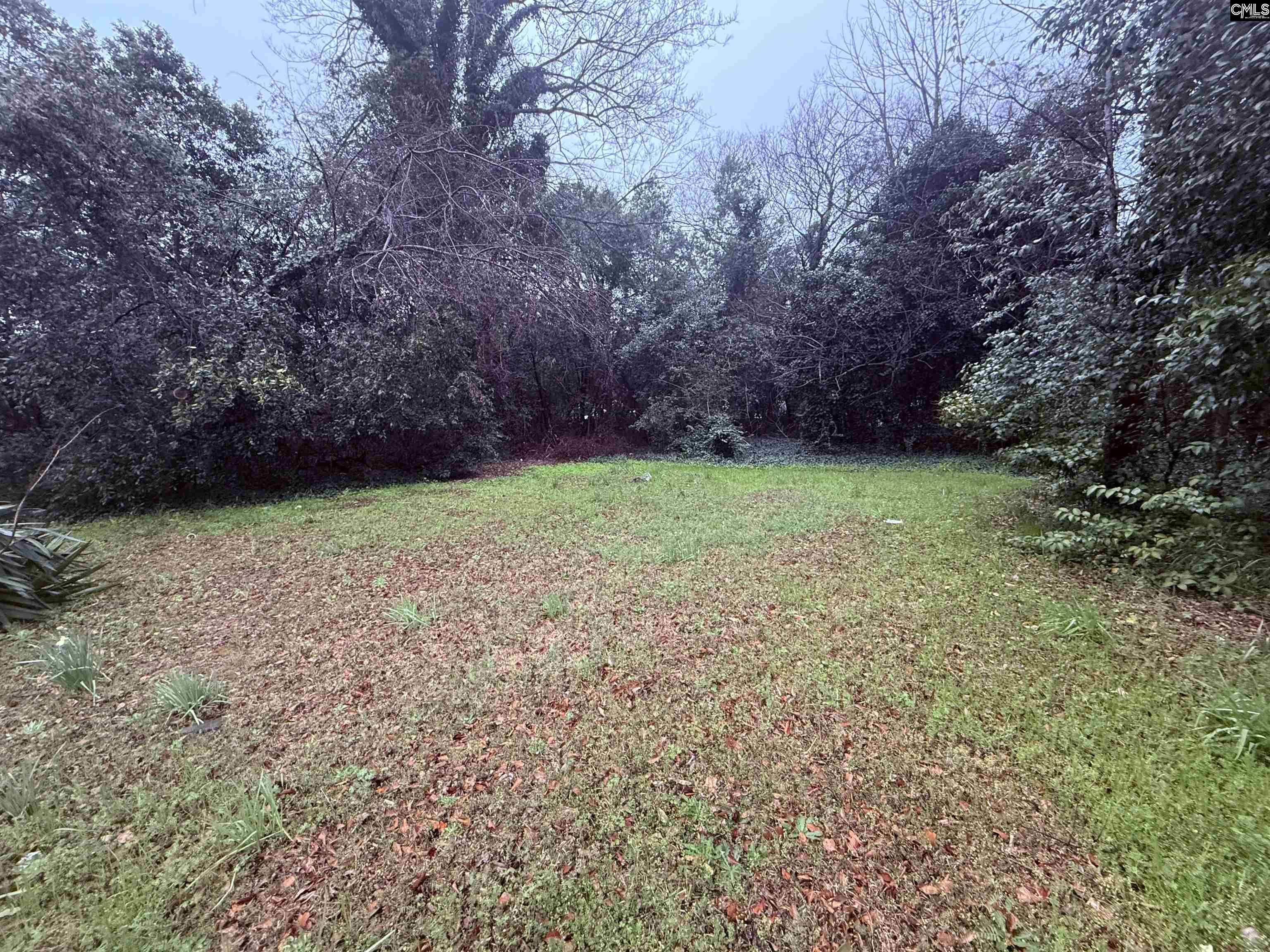 1227 Tolli Street Columbia, SC 29201