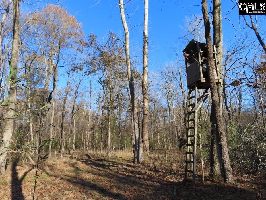 Bull Run Road White Oak, SC 29180