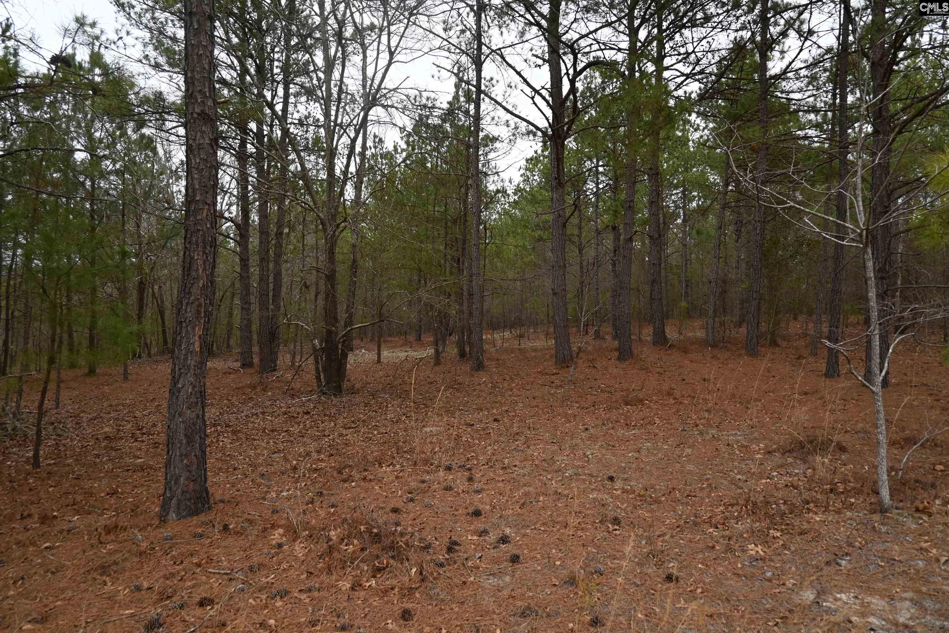 TBD Lot A Hwy 109, Ruby, South Carolina image 12