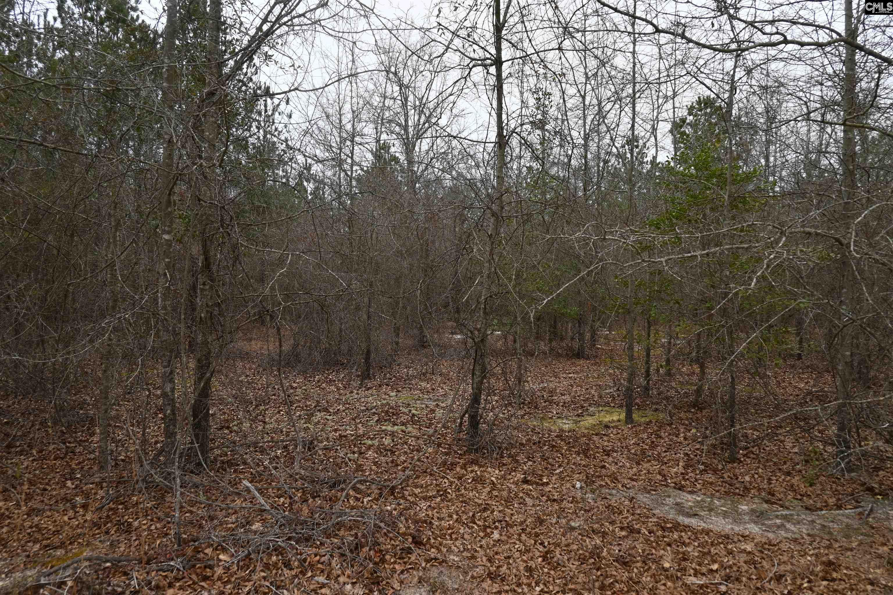 TBD Lot A Hwy 109, Ruby, South Carolina image 16