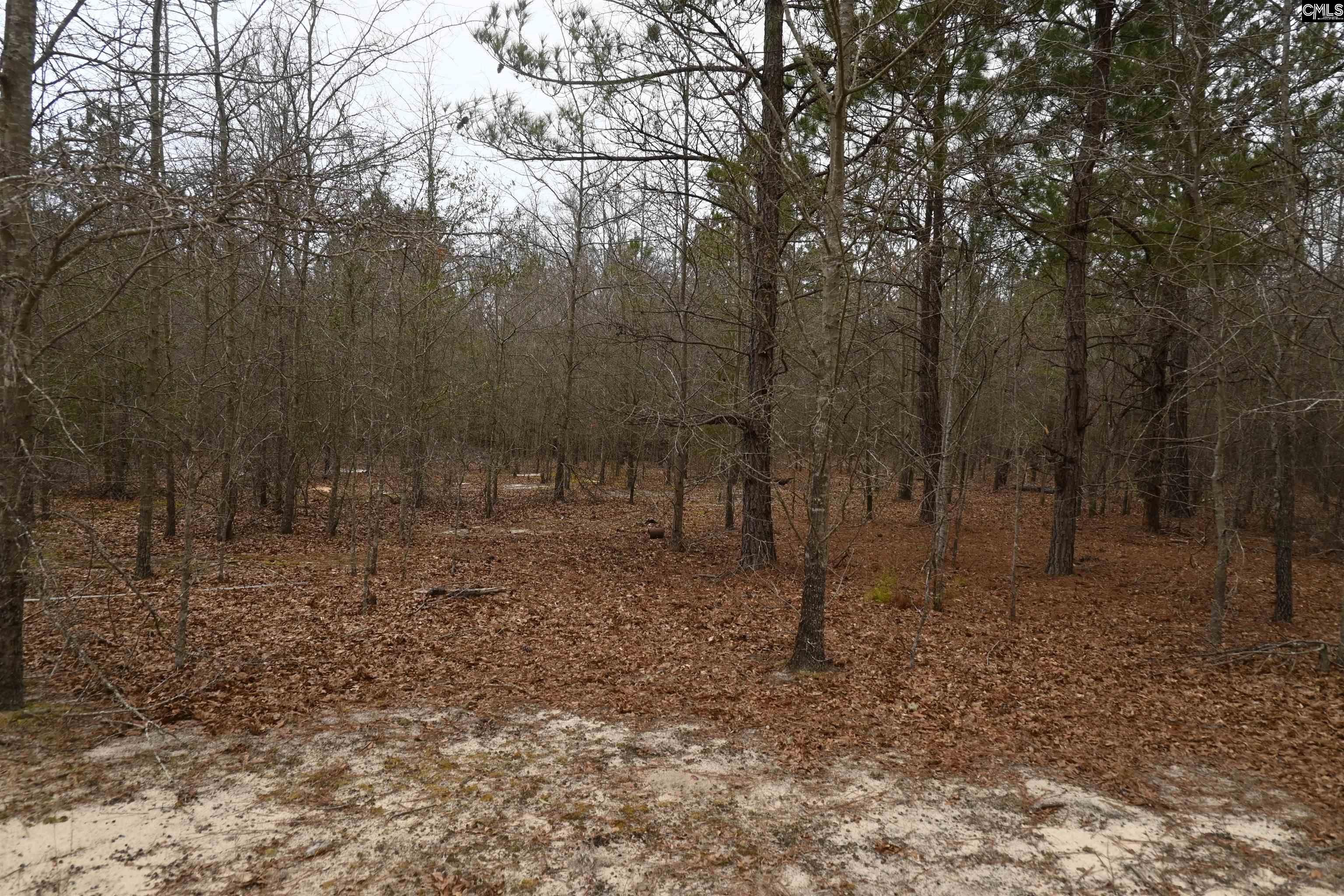 TBD Lot A Hwy 109, Ruby, South Carolina image 17