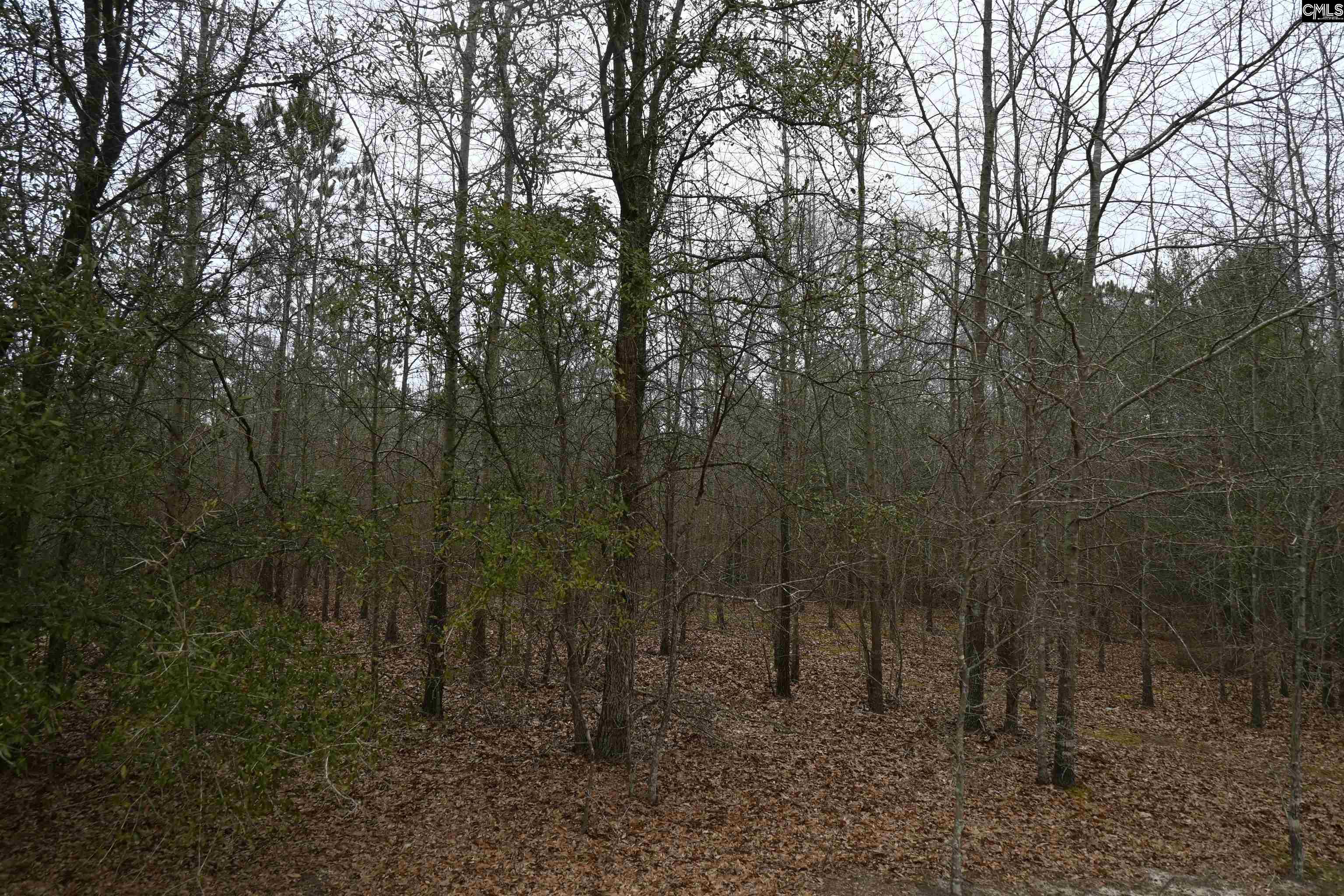 TBD Lot A Hwy 109, Ruby, South Carolina image 18