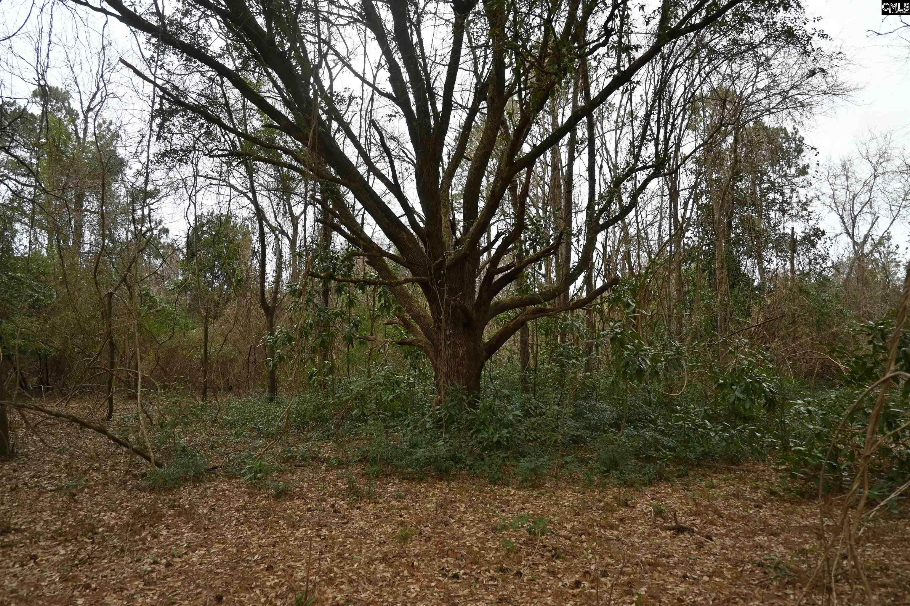 TBD Lot A Hwy 109, Ruby, South Carolina image 19