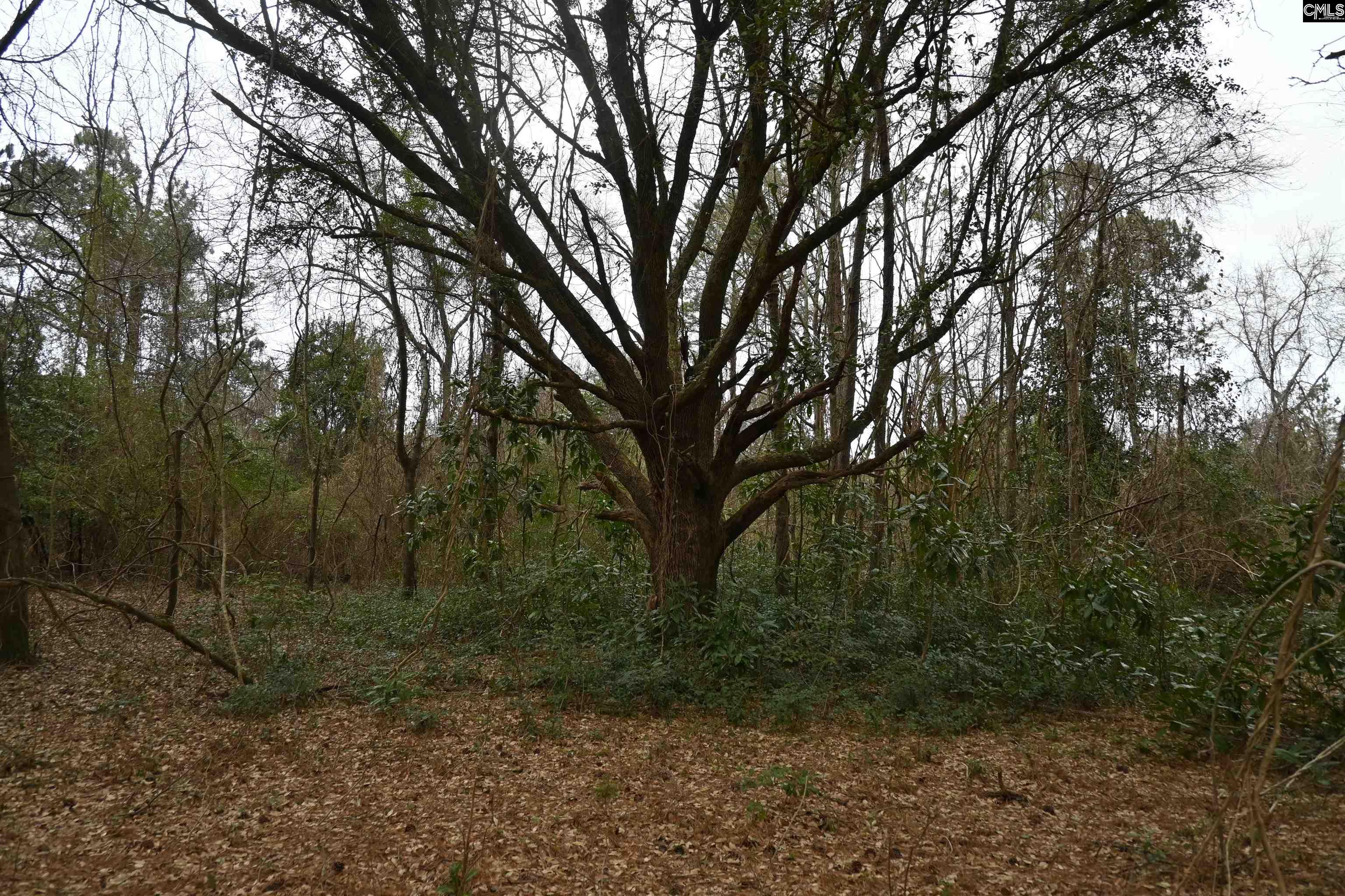 TBD Lot A Hwy 109, Ruby, South Carolina image 20