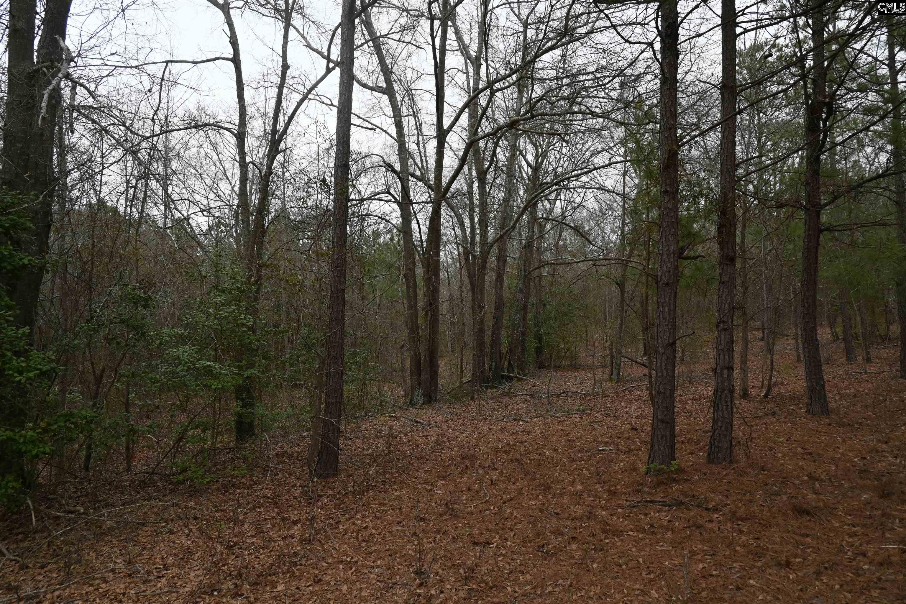 TBD Lot A Hwy 109, Ruby, South Carolina image 3