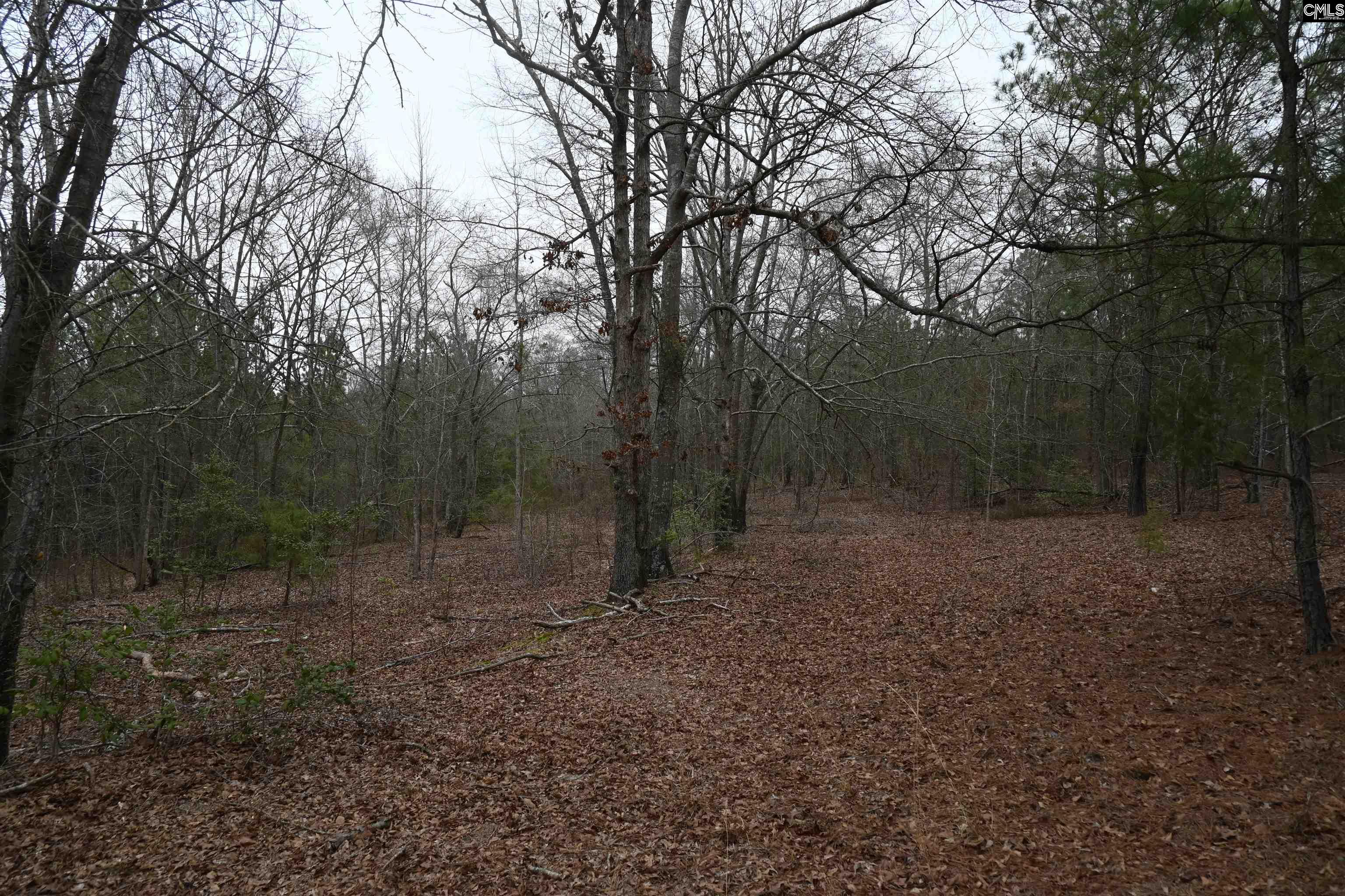 TBD Lot A Hwy 109, Ruby, South Carolina image 6