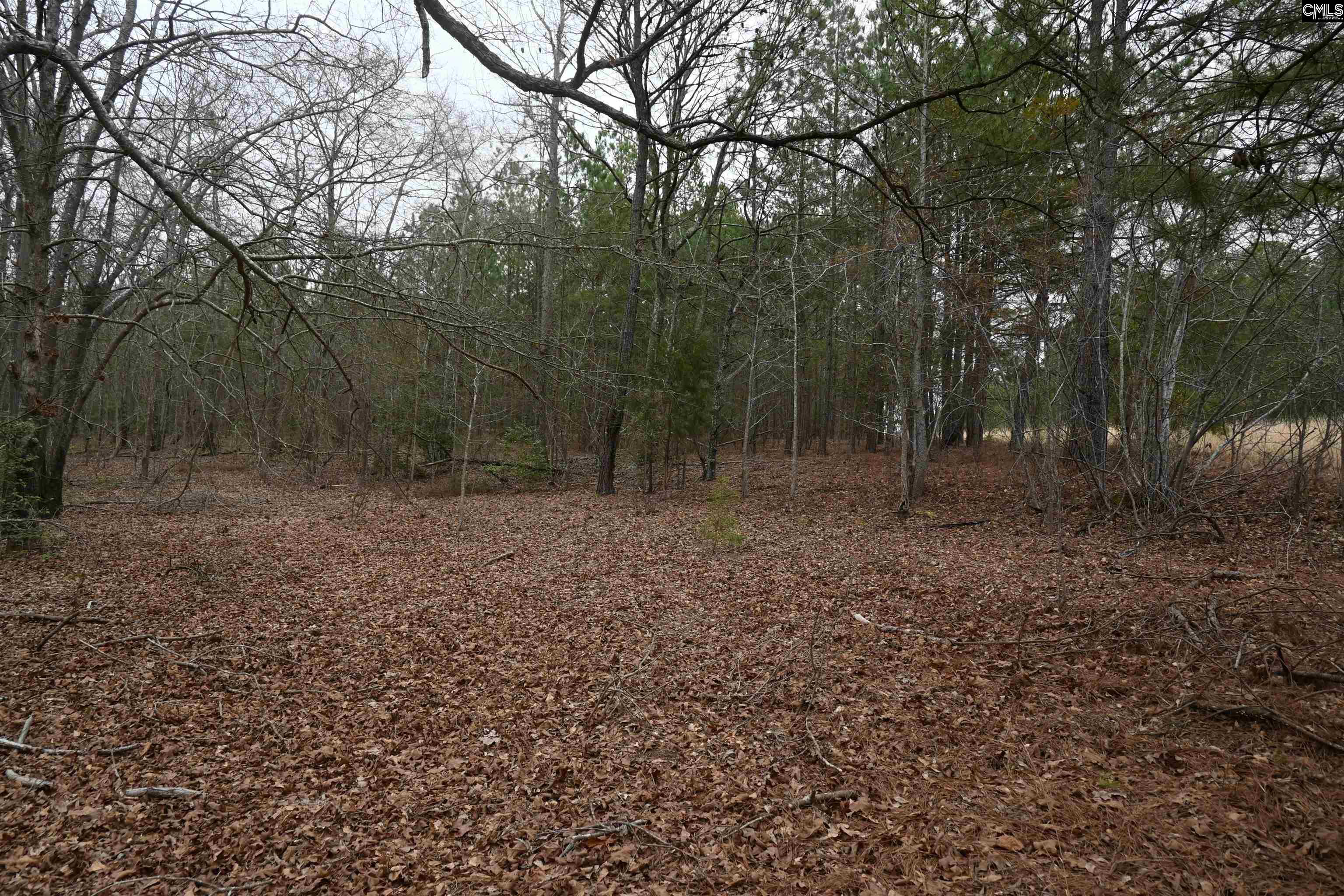 TBD Lot A Hwy 109, Ruby, South Carolina image 8