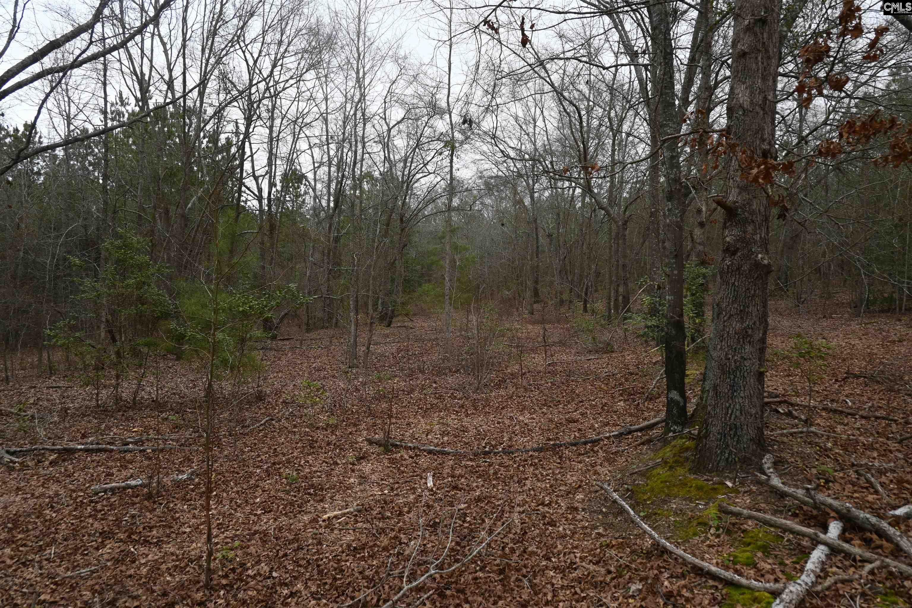 TBD Lot A Hwy 109, Ruby, South Carolina image 9