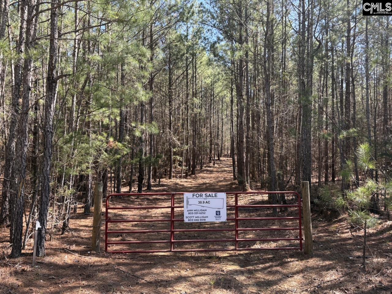Tract 6 Buzhardt Road UNIT Tract 6 Pomaria, SC 29126
