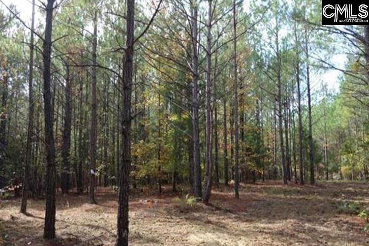 Tract 6 Buzhardt Road, Pomaria, South Carolina image 2
