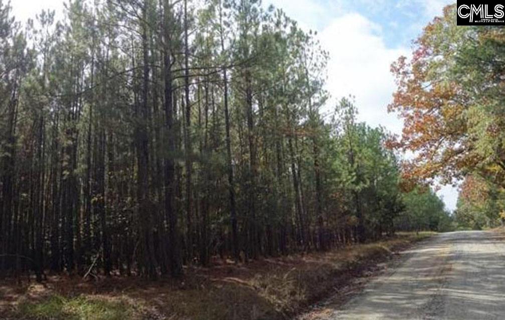 Tract 6 Buzhardt Road, Pomaria, South Carolina image 4