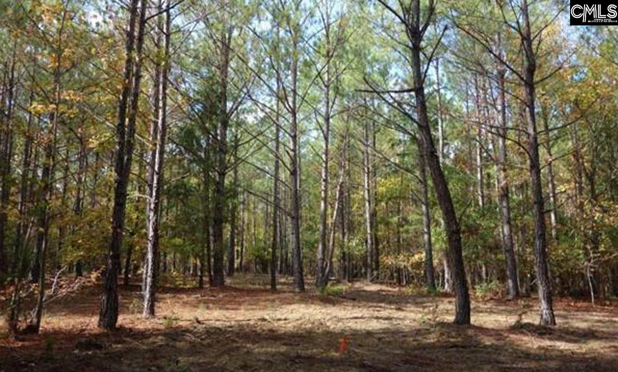 Tract 6 Buzhardt Road, Pomaria, South Carolina image 5