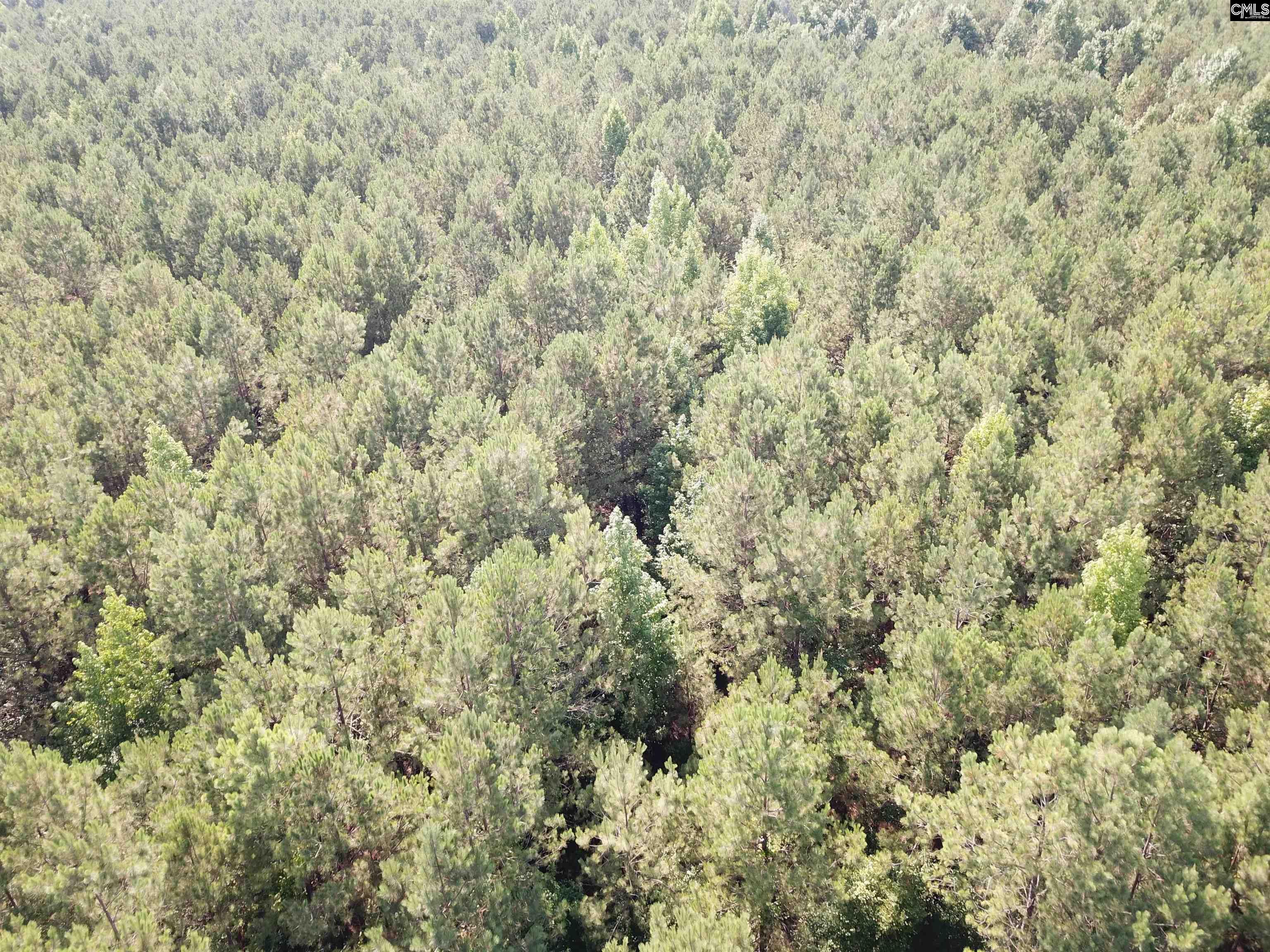 91 Shiver Road Rembert, SC 29128-0000